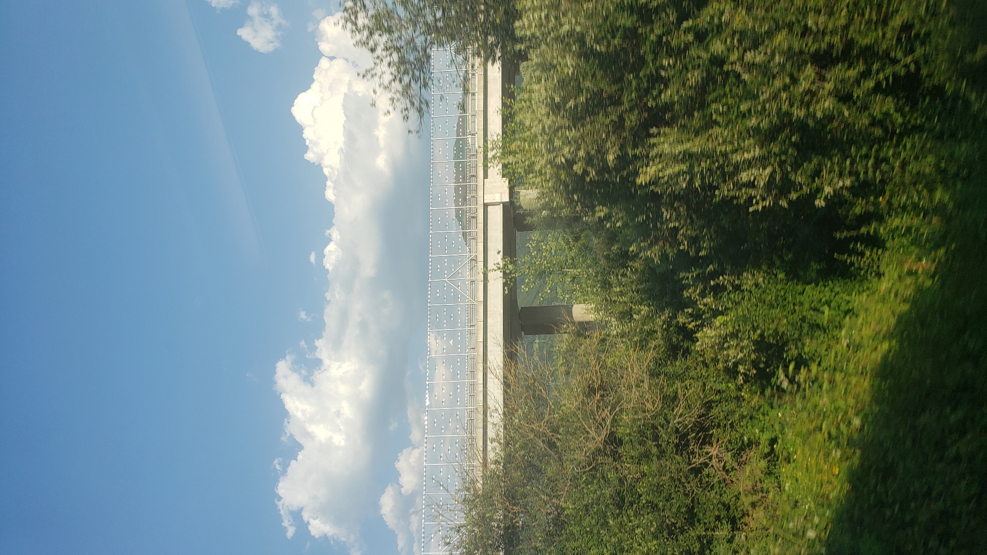 The image depicts a highway overpass on a sunny day, likely in or near Turany, Slovakia. The overpass, constructed with concrete pillars and a flat deck, is partially obscured by dense green foliage in the foreground and midground. A sound barrier, composed of transparent panels with white framing, lines the edge of the overpass. The sky above is a clear blue, dotted with fluffy white clouds. The overall impression is one of infrastructure integrated into a natural, somewhat wild landscape.