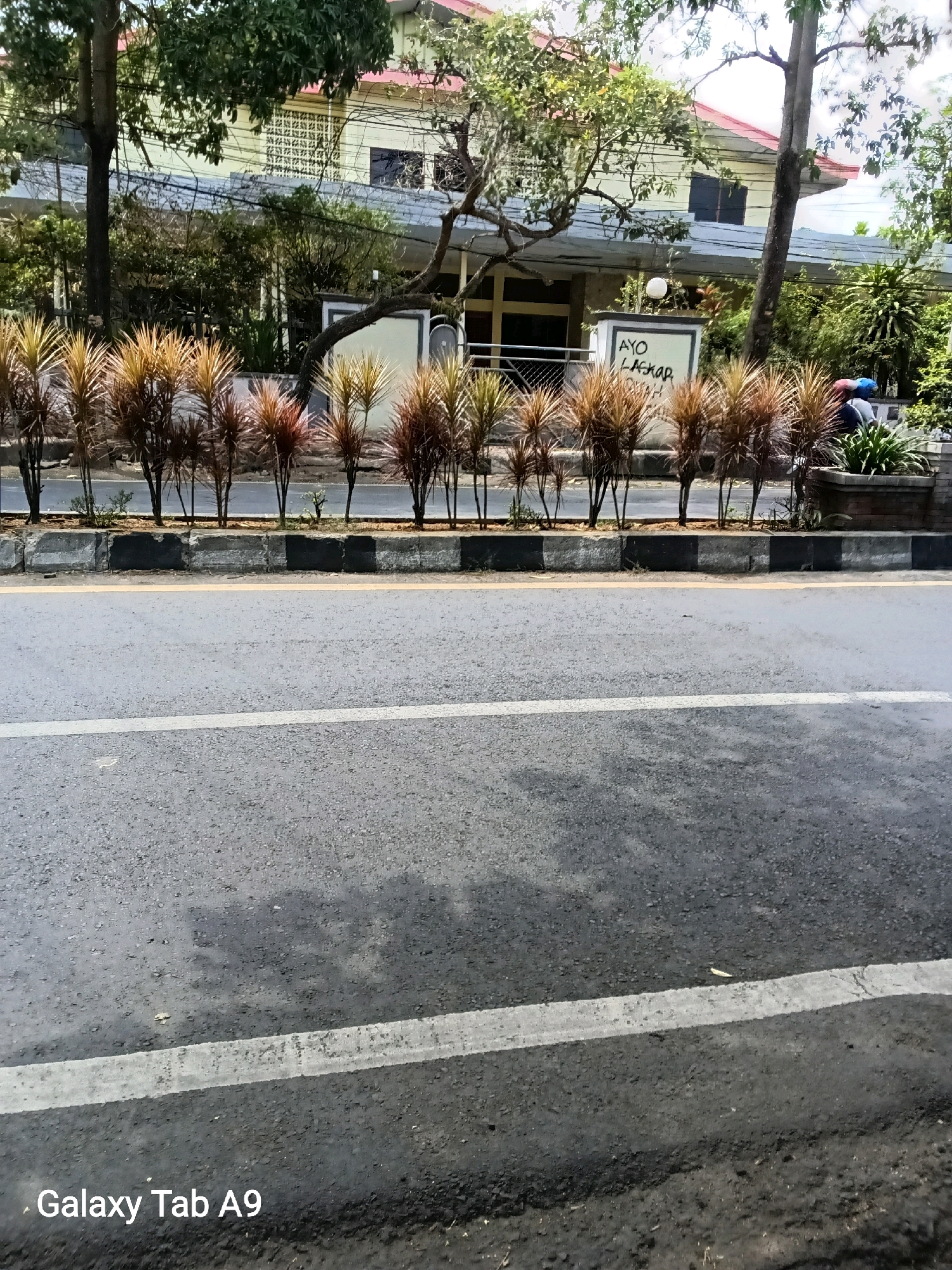 The image depicts a street scene in Kelutan, Indonesia, with a yellow building situated behind a row of ornamental plants. The building features a red-tiled roof and a facade with decorative window grates. A white sign with blue lettering that reads "AYO LASKAR" is visible in front of the building. The street itself is asphalt with a white line marking the lane. The foreground shows a section of the road, and the background includes trees and foliage. The overall impression is one of a residential or commercial area in a tropical setting.