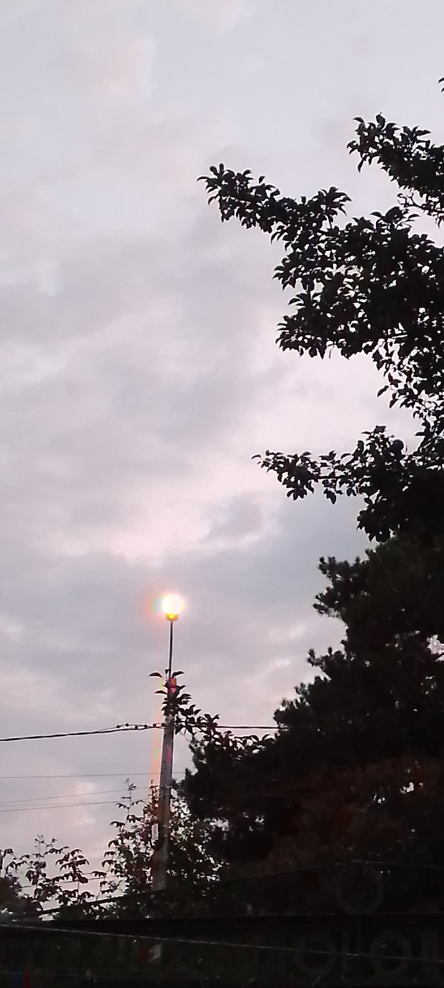 The image depicts an outdoor scene in Belgorod, Russia, under an overcast sky. A streetlamp with a bright, glowing bulb is prominently featured in the mid-left of the frame. Silhouetted against the sky are the branches and foliage of trees on the right and in the foreground, as well as on the left side of the streetlamp. Power lines are visible horizontally across the lower portion of the image. The lighting conditions suggest it is either dawn or dusk, or a particularly cloudy day.