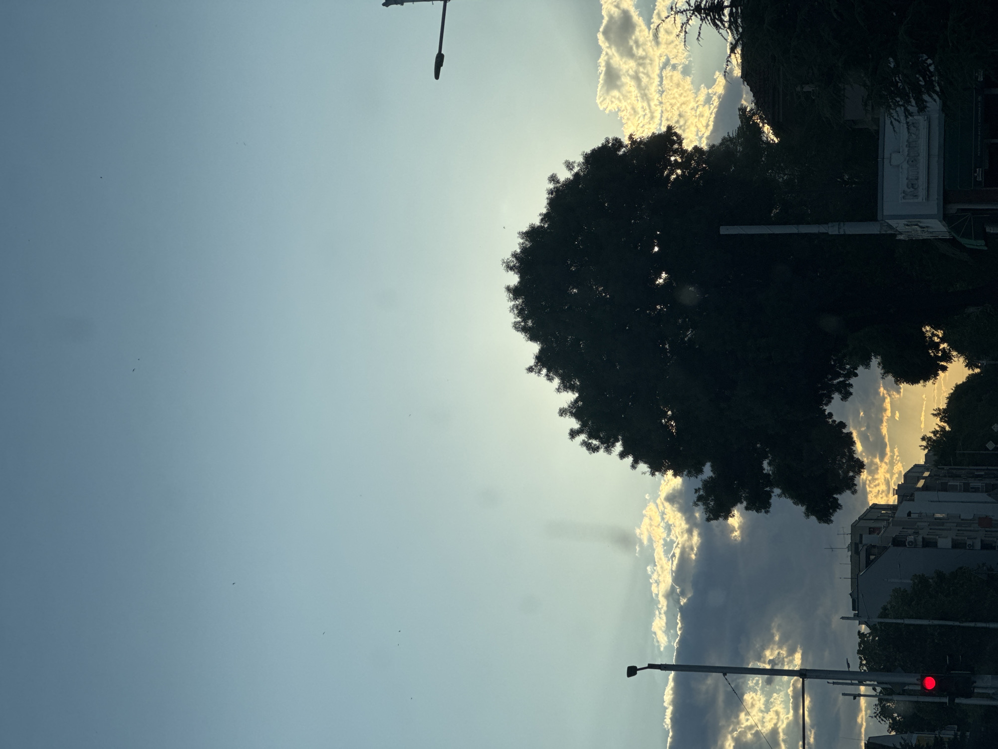The image depicts a view from a moving vehicle on a street in Plovdiv, Bulgaria. The time of day appears to be late afternoon or early evening, as indicated by the soft, warm light of the setting sun filtering through the clouds. The sky is a pale blue with scattered clouds, some of which are brightly illuminated by the sun from behind, creating a dramatic effect.
Dominating the mid-ground is a large, silhouetted tree with a full, dense canopy, partially obscuring the sunlight. To the left, a traffic light displays a red signal, suggesting the vehicle is stopped. Adjacent to the traffic light is a lamppost. In the background, several buildings, typical of an urban environment, are visible. One building in the foreground has a sign that reads "Kamnitzza." Evergreen trees are also present, particularly on the right side of the frame. The overall impression is a snapshot of a city scene bathed in the golden hues of sunset.