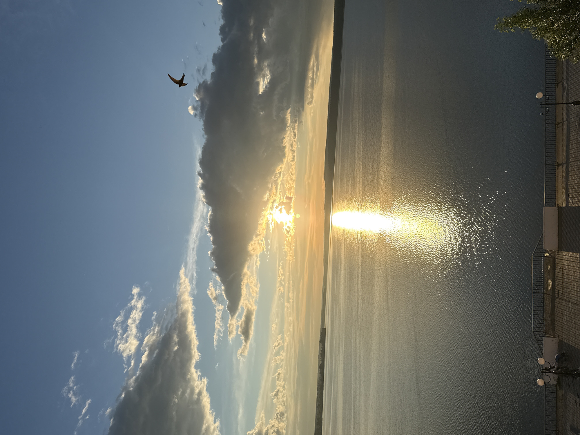 A scenic image depicts a body of water reflecting sunlight, partially obscured by clouds, with a bird in flight in the upper left quadrant. The scene includes a portion of a building or structure with railings and what appear to be light fixtures on the right edge of the frame. Based on the orientation and elements present, the location is likely a waterfront view in Votkinsk, Russia.