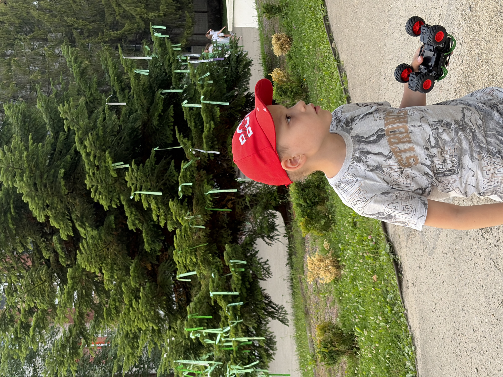 A young boy wearing a red baseball cap and a grey t-shirt with a marble-like pattern stands on a paved pathway in front of a large evergreen tree decorated with light green ribbons. He is holding a black and red toy car with large wheels in his right hand. The tree is in a grassy area with some bushes and ornamental plants. In the background, a building and more trees are visible, and a group of people, appearing to be children, are walking in the distance. The scene appears to be outdoors, possibly in a park or schoolyard, in an unspecified urban location.