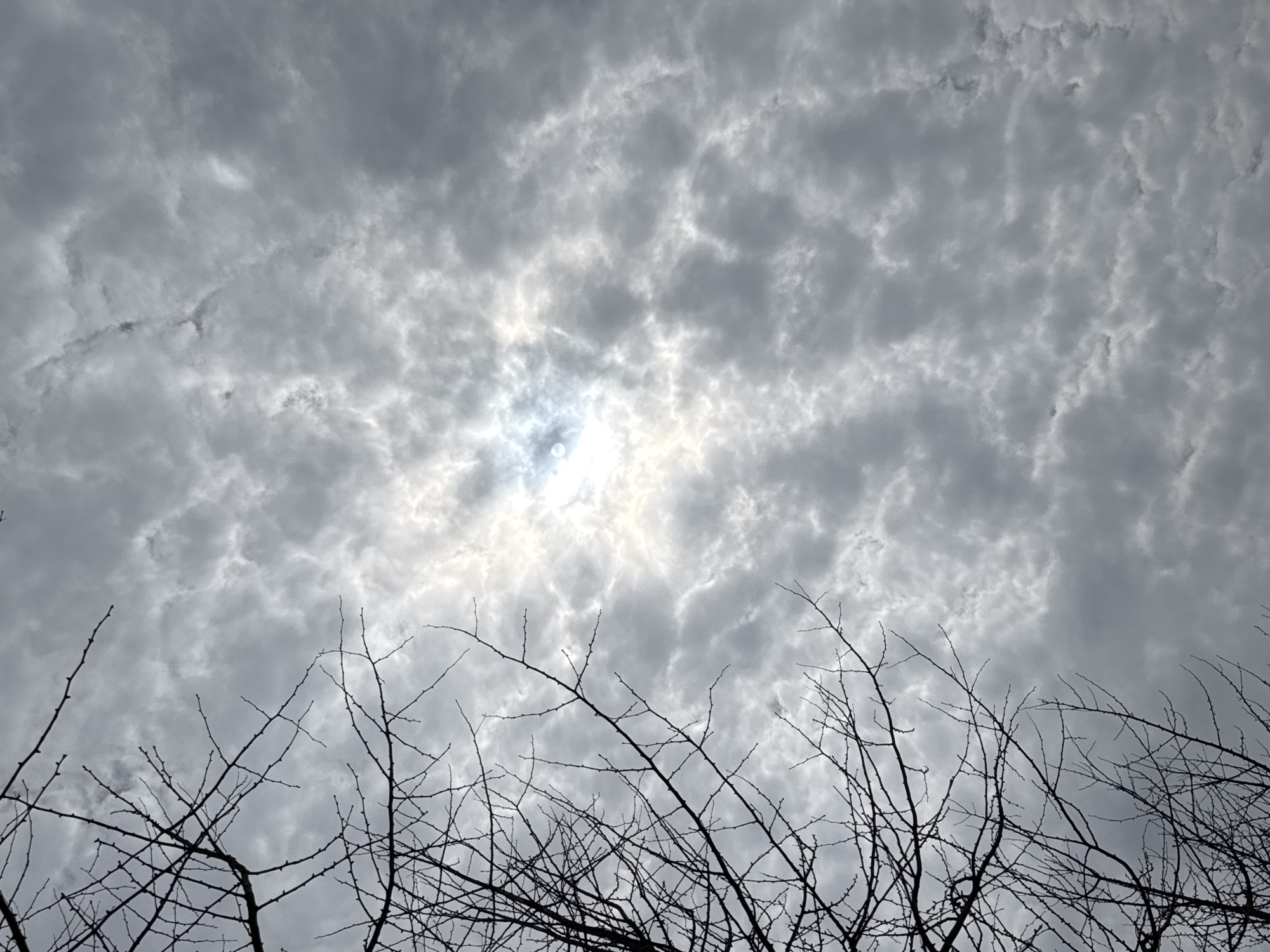 The image, taken in Wulingyuan, China, displays a sky dominated by a dense, textured layer of grey clouds. A bright circular luminescence, indicative of the sun, is visible through a thinner patch of clouds towards the upper middle of the frame. On the left side, numerous bare, dark tree branches are silhouetted against the cloudy sky, extending upwards from the bottom left corner. No individuals or man-made structures are discernible within the scene.