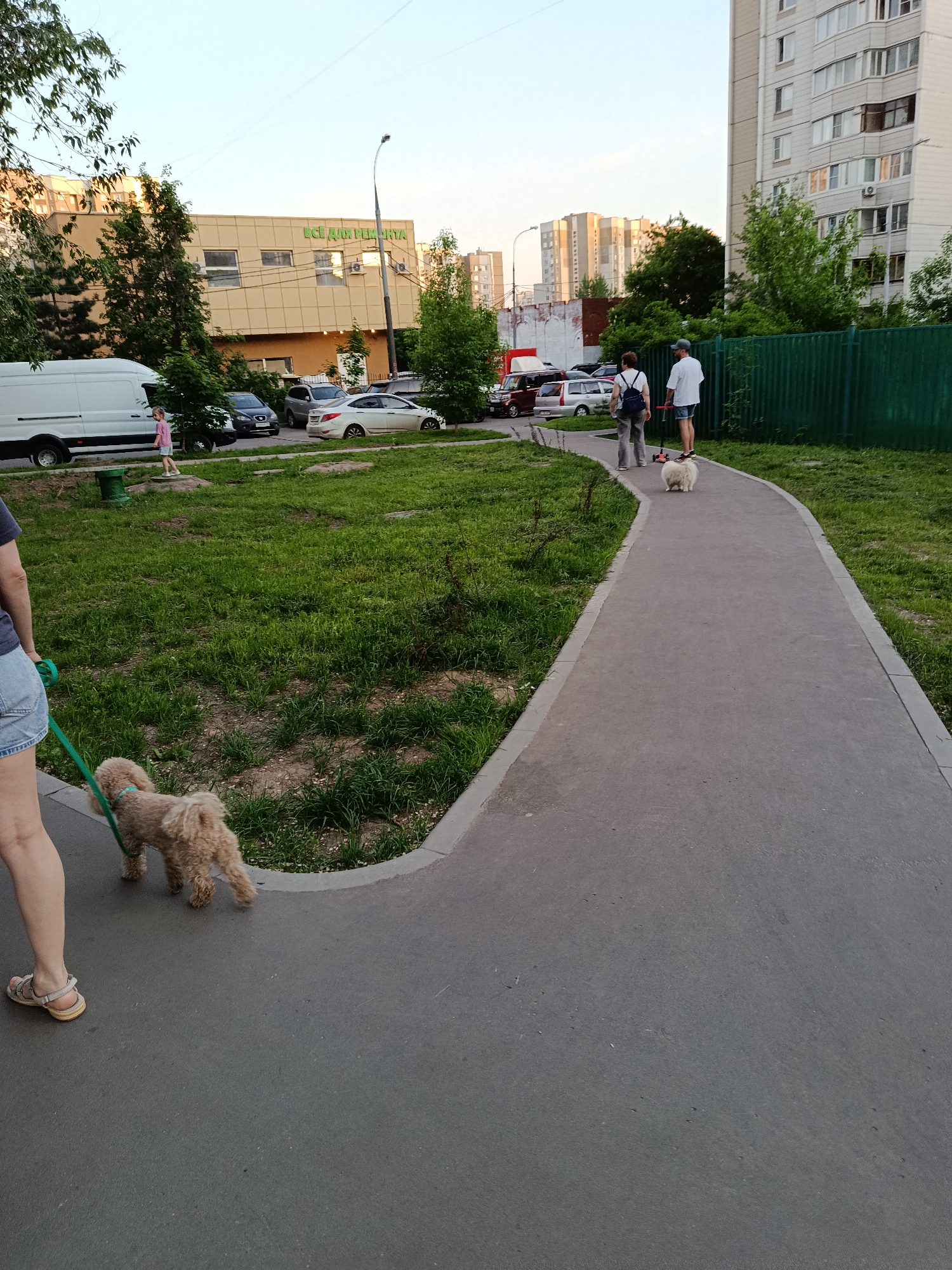 The image shows a paved pedestrian path in a residential area of Moscow, Russia, with several people and dogs. In the foreground, a person is walking a small, light-brown poodle on a green leash. Further down the path, two individuals are walking with a small, white dog. One of them is pushing a red scooter. The background includes a green fence, residential buildings, and a building with a sign in Russian that translates to "Everything for Repair." Several parked cars are also visible. The weather appears to be fair.