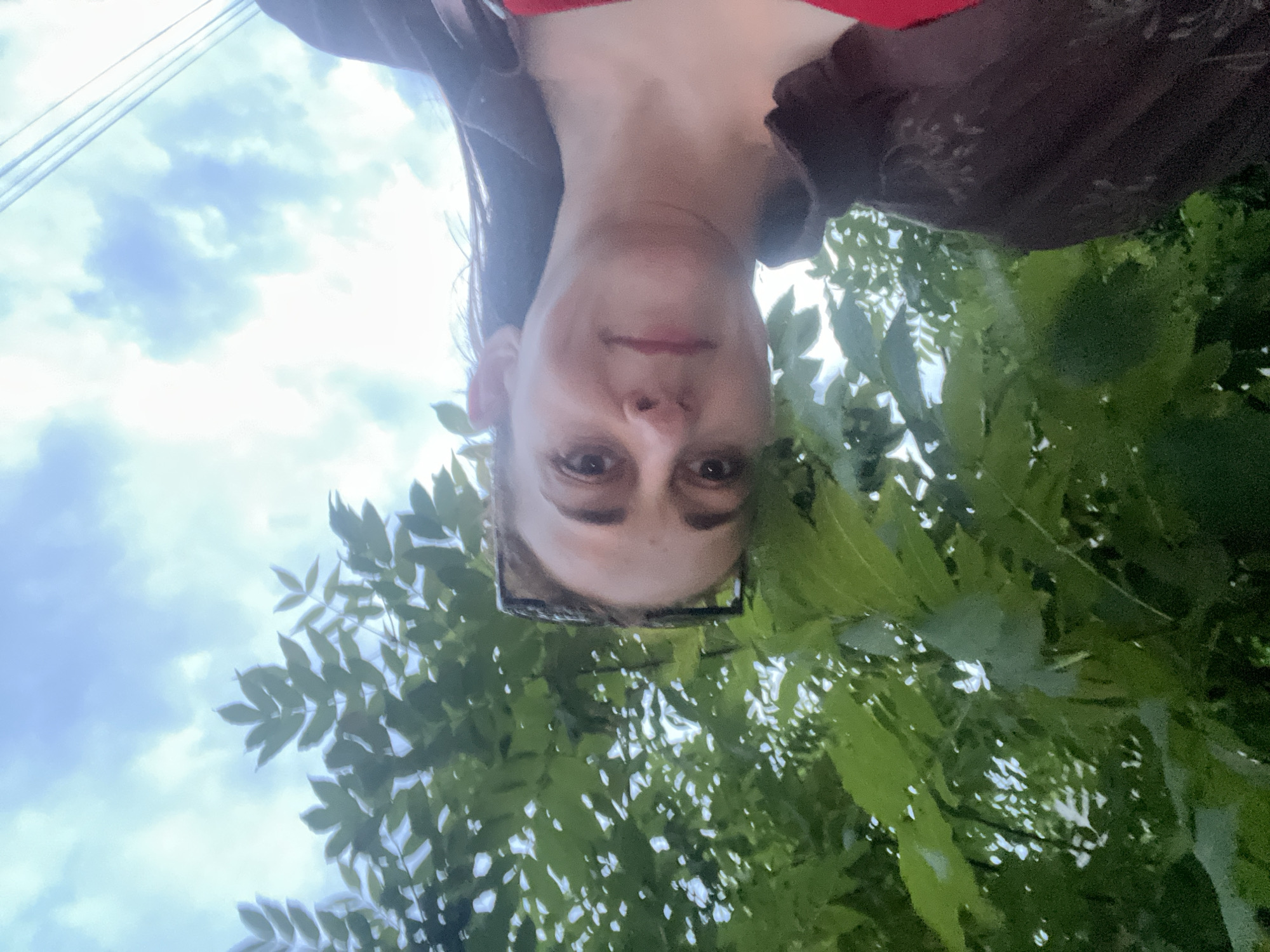 A woman is pictured from a low angle, looking up towards the sky. She has dark hair pulled back, sunglasses perched on her head, and is wearing a red top and a dark jacket. Lush green leaves of a tree frame the top of the image, with a light blue, cloudy sky visible in the background. The lighting suggests it may be overcast or dusk.