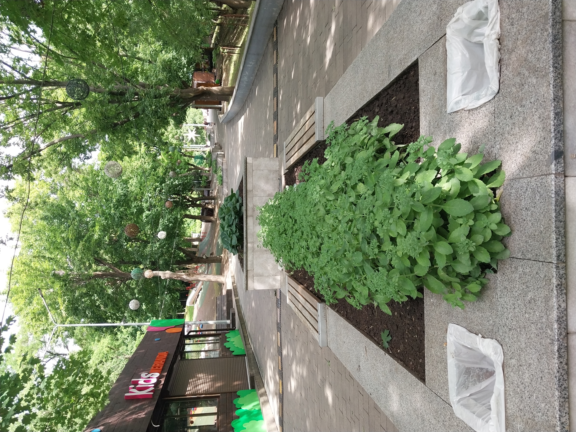 This is a medium shot of a paved walkway in a park, likely in Dnipro, Ukraine, on a sunny day. A building with a sign that reads "Kids VERANDA" is visible on the left, with colorful green cutouts along its base. The walkway is lined with planters containing lush green plants, and in the foreground, there are two white plastic trash bags placed on a stone ledge. Wooden benches are situated between the planters. Decorative spherical objects hang from trees along the walkway, and in the background, there is a playground with slides and other equipment. Sunlight casts dappled shadows across the scene.