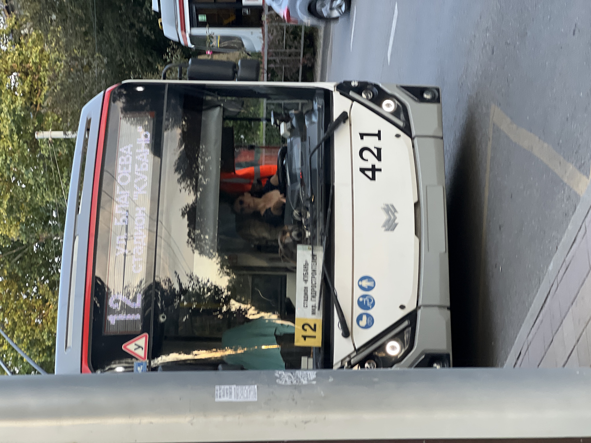 This is a photograph of a white and grey bus, number 421, driving on a paved road. The bus has a digital display on the front that shows route information. The display reads "ул. БЛАГОЕВА" and "РАДИОН «КУБАНЬ»". There is also a smaller display below that reads "12". The bus has large headlights and two blue circular signs on the side, one with an arrow and a person and another with two people. The image appears to be taken during the daytime, as indicated by the lighting and shadows. The scene is set on a street with trees visible in the background. The road has lane markings and a sidewalk to the right. A person is visible in the driver's seat of the bus. The overall impression is a typical urban street scene in Krasnodar, Russia.