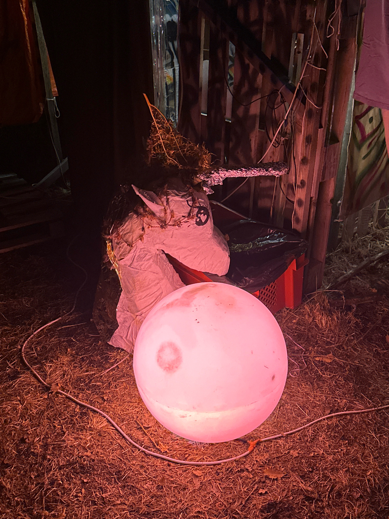 The image depicts an outdoor scene at night, illuminated by a large, pinkish-red spherical light. In the center is a handmade unicorn sculpture, appearing to be constructed from crumpled paper or fabric and possibly adorned with straw or twigs for its mane. The unicorn's horn is metallic and pointed. Behind the unicorn, a black trash bag is visible, resting on a red plastic crate. The background consists of a wooden structure, possibly a fence or a wall, with wires and other debris hanging from it. The ground is covered in dry grass and leaves. The overall impression is that of a decorative or art installation, perhaps for an event or as part of a Halloween display, given the somewhat spooky nighttime lighting and rustic setting. There are no visible people or animals in the frame. The location is identified as Cetinje, Montenegro.