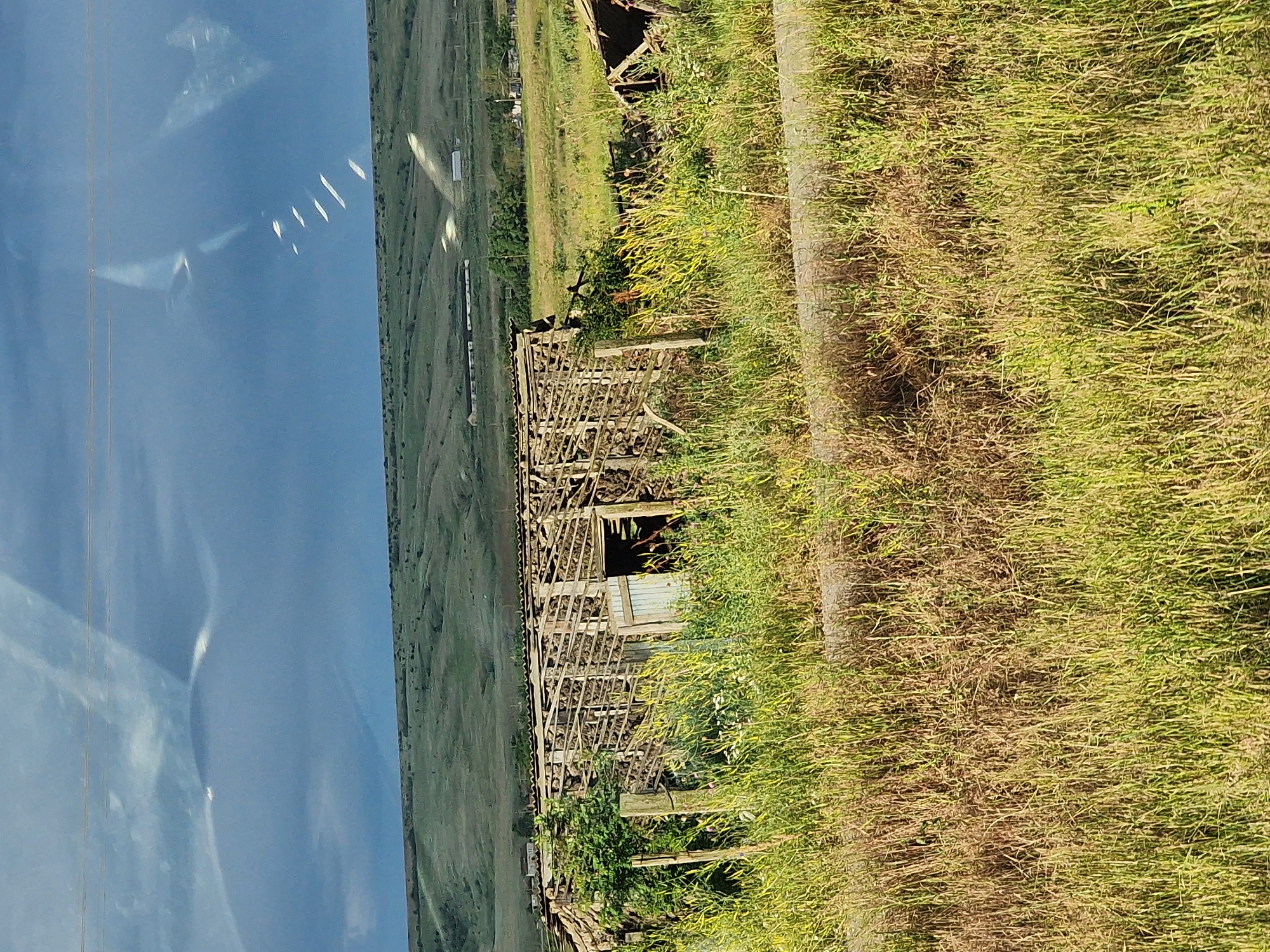 The image depicts an abandoned agricultural structure with a partially collapsed wooden roof and walls, overgrown with vegetation. The structure is situated in a rural, grassy landscape with rolling hills in the background. The sky above is cloudy with some reflections visible on what appears to be a window or glass surface. There are no people or animals visible in the image. The scene suggests a state of disrepair and abandonment in a natural, undeveloped setting.