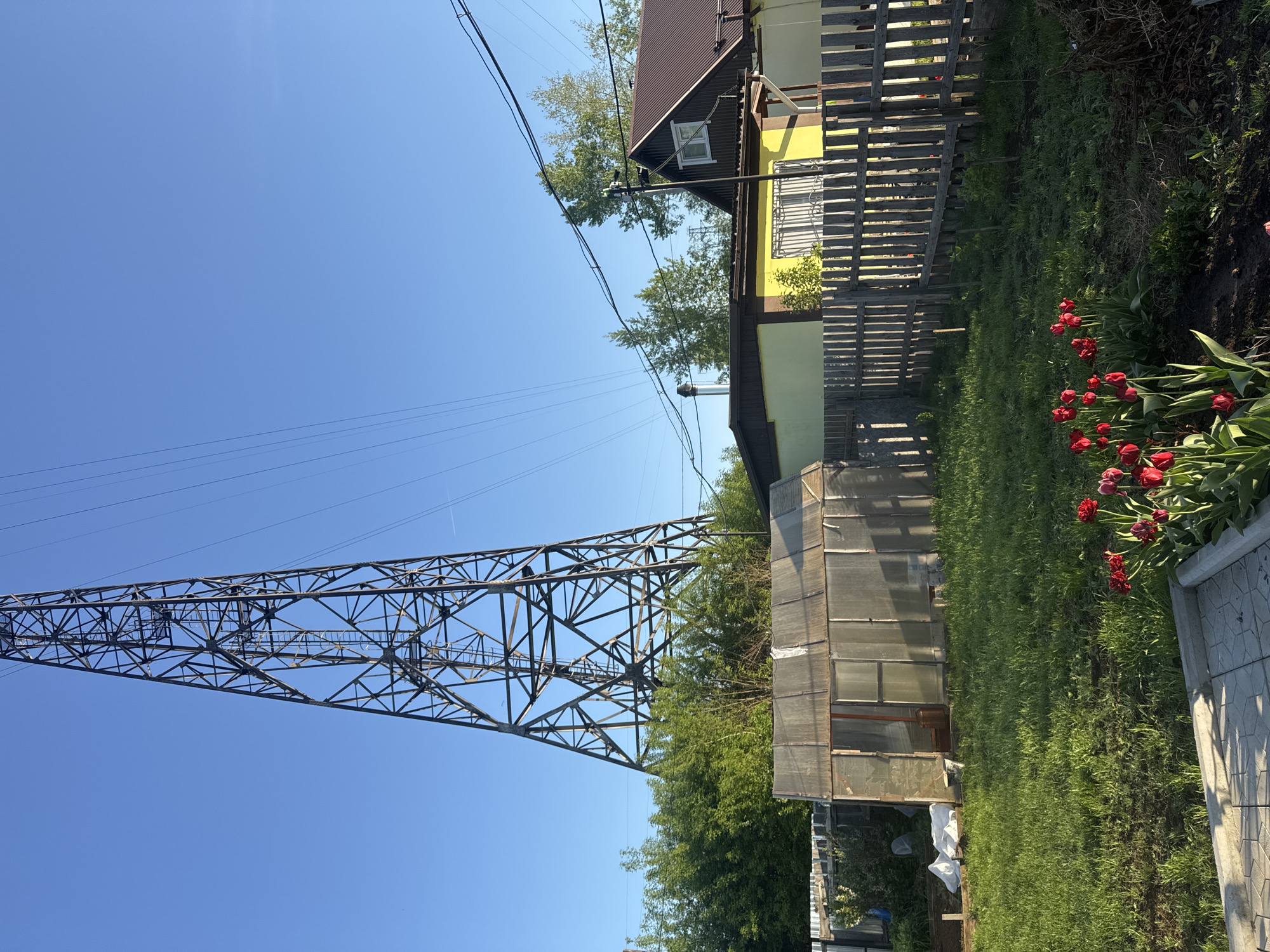 The image shows a yard in Chaikovsky, Russia. A large metal electrical transmission tower dominates the left side of the frame, set against a clear blue sky with power lines extending from its top. To the right of the tower, there is a greenhouse, partly obscured by trees. Further to the right, a yellow house with a brown roof and a wooden fence runs along the side of the property. Red tulips are planted along the edge of the yard, next to a concrete pathway or border. The grass is green and appears recently cut. The image is taken during daylight hours with bright sunlight.