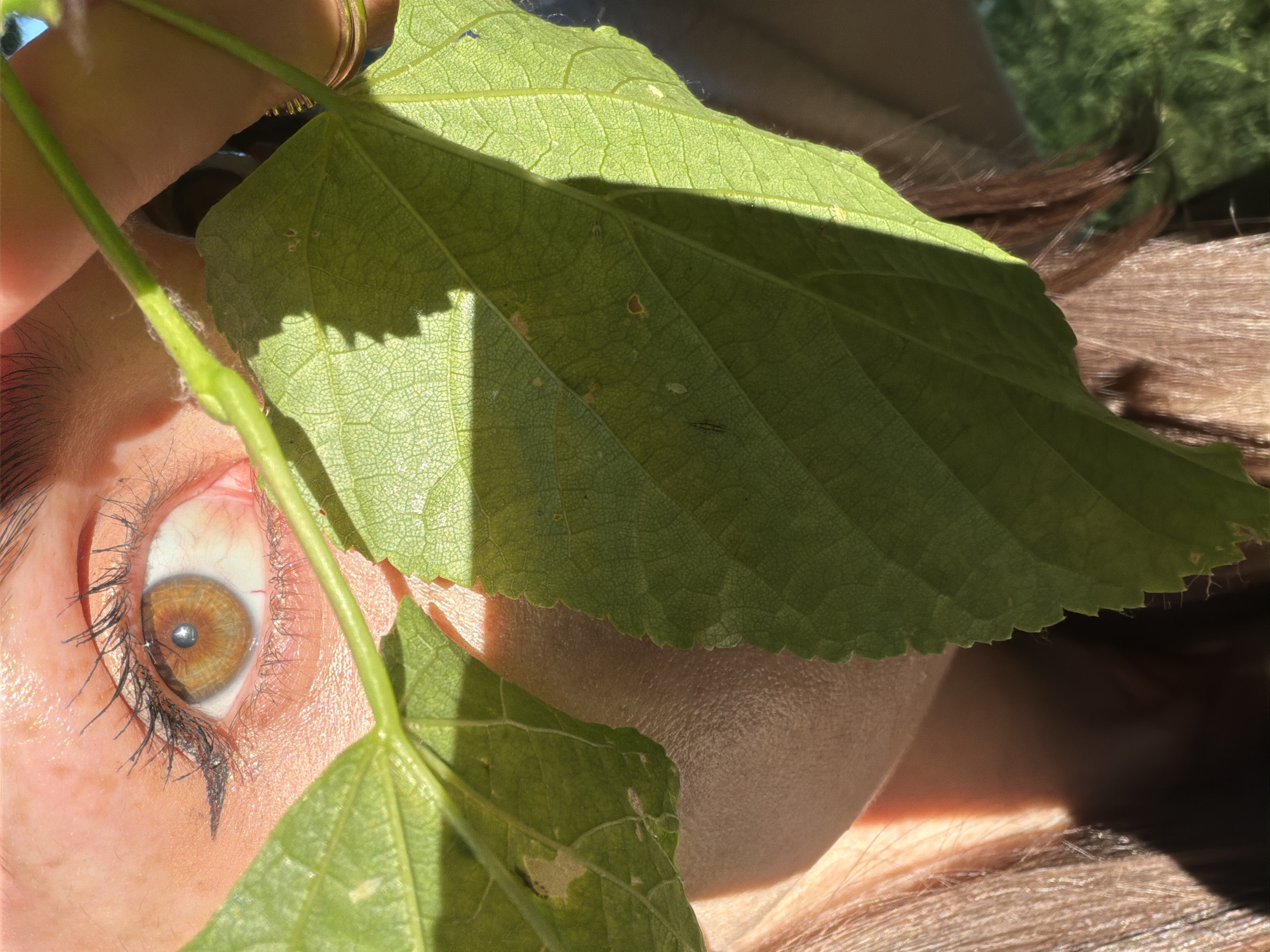 A close-up, eye-level, outdoor shot focuses on a person's left eye peeking through green leaves in sunlight. The eye is light brown with a slight reddish tint in the sclera. Black eyeliner is applied to the upper lid, and mascara is visible on the lashes. A person's fingers hold the leaves, obscuring most of their face, but revealing a hint of skin and brown hair. The background is blurred green foliage, suggesting a natural setting. There is no identifiable information about the city of Saint Petersburg, Russia.