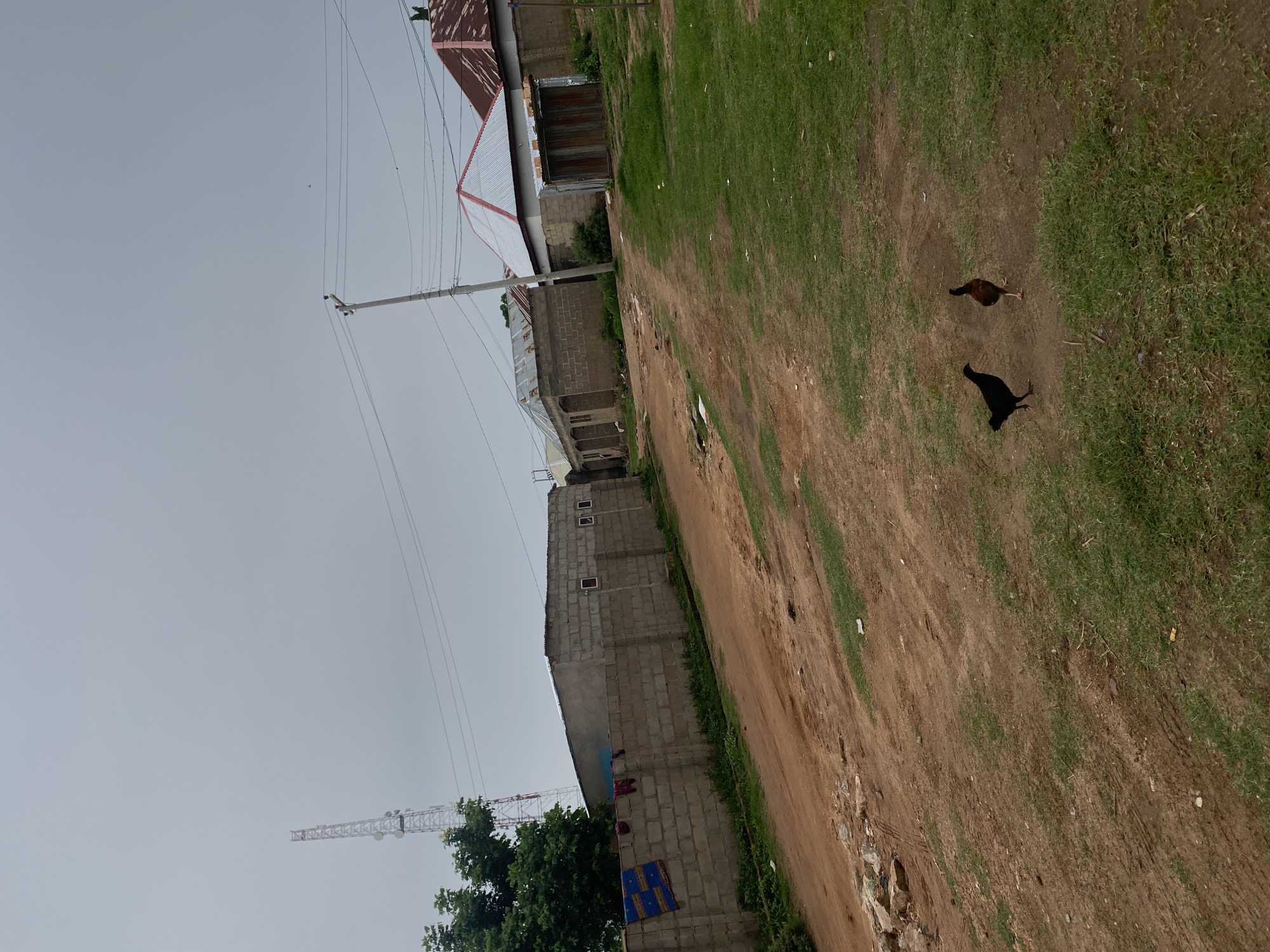This image depicts an outdoor scene in Jauro Yinu, Nigeria. The setting appears to be a rural or semi-urban area with a mix of structures and natural elements.
In the foreground, there are two chickens walking on a dirt path bordered by sparse green grass. One chicken is dark brown and the other is black. The path is uneven and shows signs of wear, with some debris scattered along its edges.
To the left of the path, a long, grey brick building is visible. It has a flat roof and several small, rectangular windows. Clothes are hanging on the exterior wall of the building, suggesting human habitation. Further to the left, a tall, lattice-like tower, likely a telecommunications tower, rises against the overcast sky. There are also power lines running across the scene, supported by poles.
Behind the brick building, several other structures with corrugated metal and red-tiled roofs are visible, indicating a cluster of houses or small businesses. The sky is a uniform grey, suggesting it might be a cloudy day, possibly with a low chance of rain.
The overall impression is one of a lived-in environment, perhaps a residential area or a collection of small shops and homes, common in many Nigerian communities. The presence of livestock like chickens and the utilitarian construction of the buildings are notable details of the location. There is no discernible text in the image.