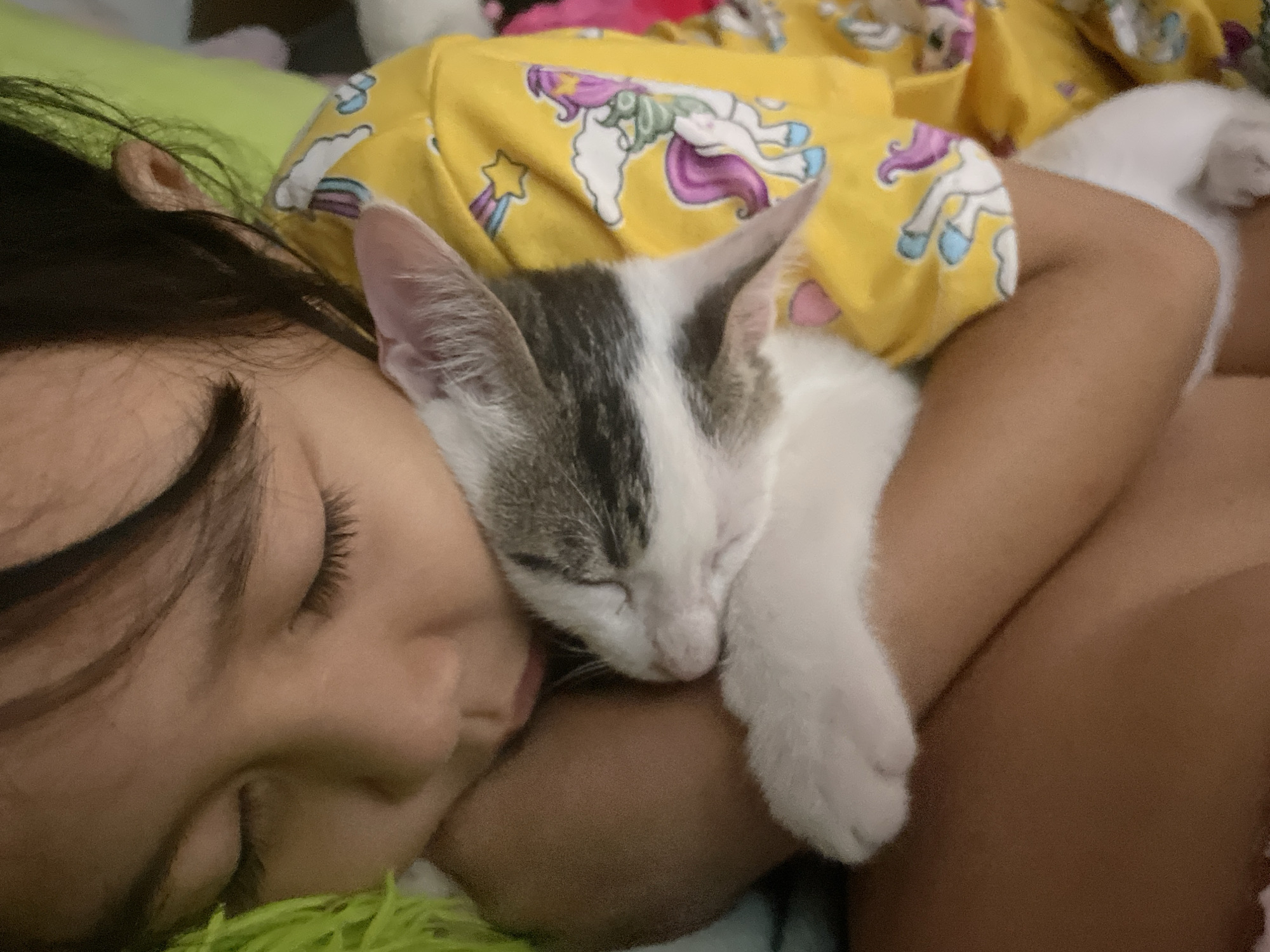 A young person lies sleeping on a green pillow, their dark hair framing their face, eyes closed with long eyelashes visible. A small white and grey tabby kitten is nestled on the person's arm, also sleeping. The person is wearing a yellow pajama top patterned with unicorns. The location is Davao City, Philippines.