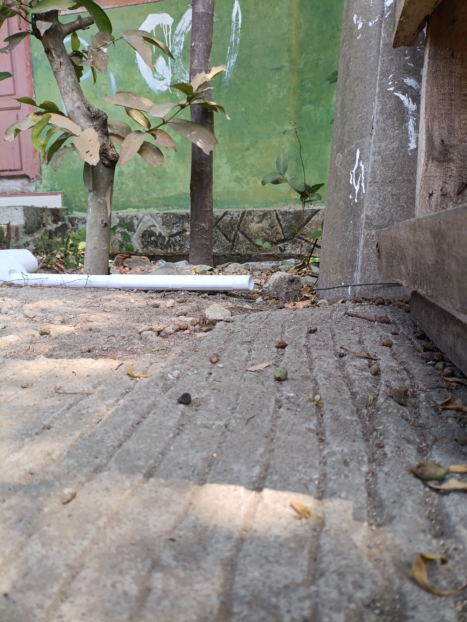 The image depicts an outdoor scene in Cariu, Indonesia, focusing on a textured concrete surface in the foreground with debris including small stones and dried leaves scattered across it. A white PVC pipe runs horizontally across the mid-ground, partially obscured by shadow and debris. Behind the pipe, a small tree with sparse, light-colored leaves stands next to a darker, thicker tree trunk. Further in the background, a textured green wall with white paint splatters is visible. To the right, a weathered wooden structure and a concrete pillar are present. The lighting suggests it is daytime with strong sunlight casting shadows. There are no people or animals visible in the image.