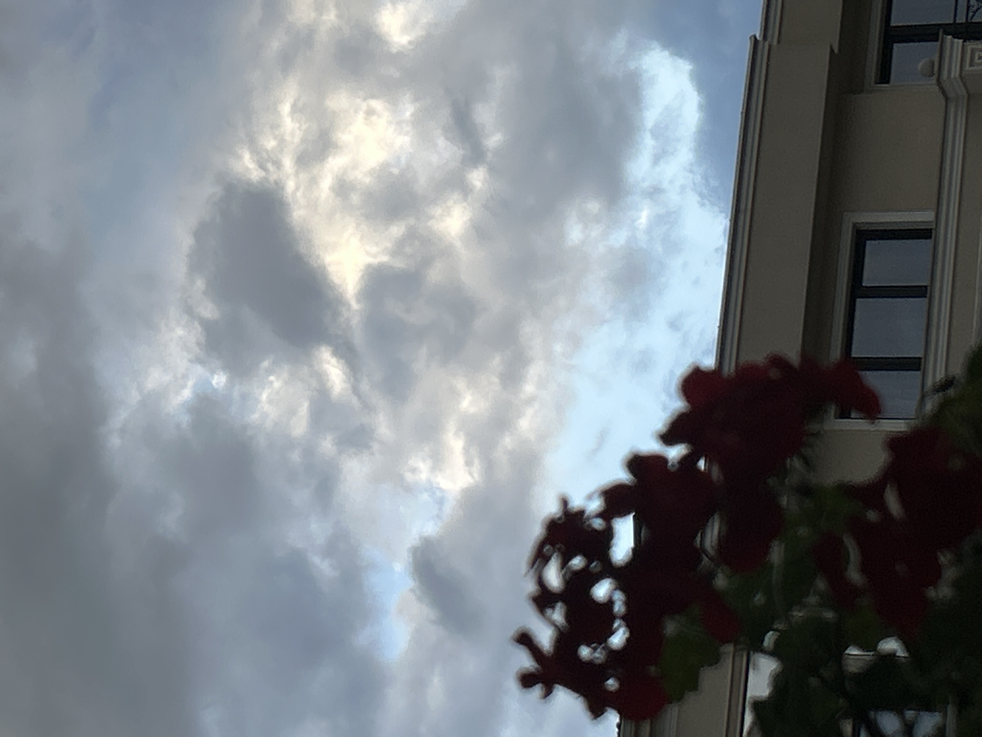 The image depicts a cloudy sky over Plovdiv, Bulgaria, partially obscured by the blurred image of a building and red flowers in the foreground. The building has a beige facade with decorative molding around the windows, which have dark frames. The sky is overcast with shades of gray and patches of bright light. The red flowers are out of focus.