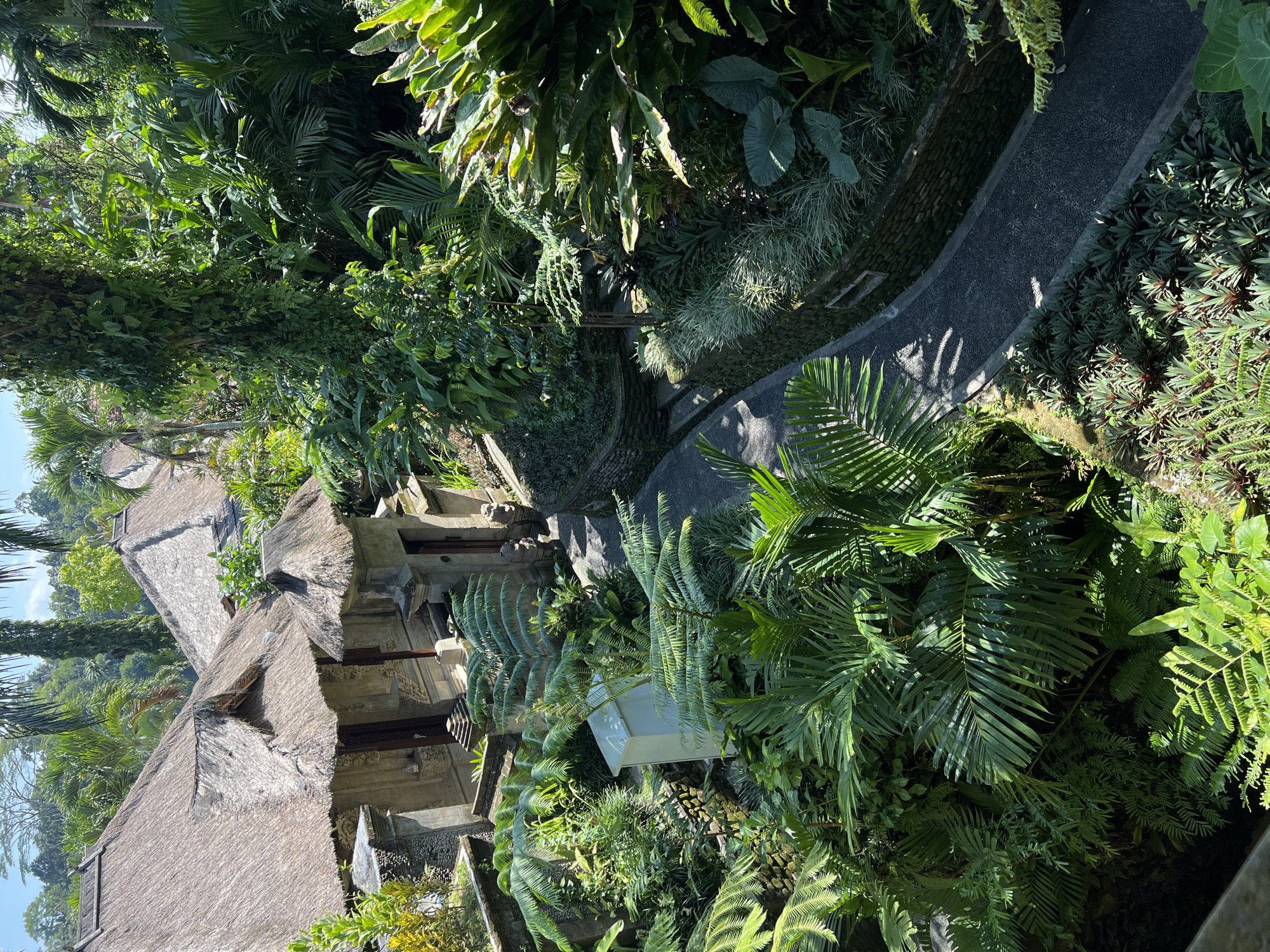 The image depicts a lush, verdant landscape in Kedewatan, Indonesia. A path of dark, compacted gravel winds through dense tropical vegetation, including palm trees, ferns, and various leafy plants. A traditional Balinese building with a thatched roof is visible to the left of the path, constructed of gray stone and displaying intricate carvings. The sunlight creates dappled shadows on the path and vegetation, indicating a bright day. No people are visible in the scene. A small, possibly decorative, white structure is nestled among the foliage near the path. The environment appears to be a well-maintained garden or resort area, reflecting the natural beauty of the Indonesian landscape.