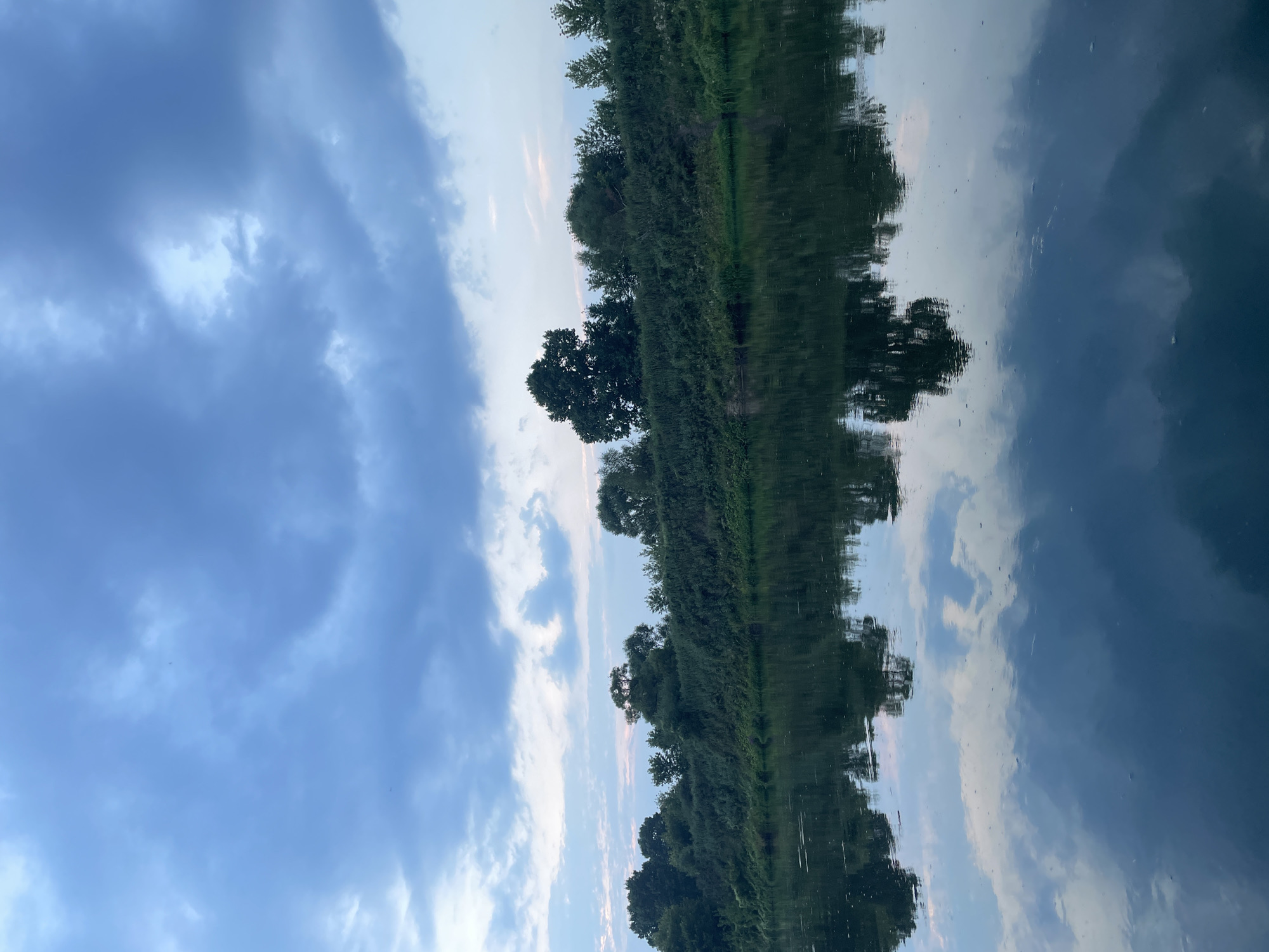 The image depicts a tranquil natural scene along the bank of a river in Zatish'e, Russia. The foreground is dominated by the dark, calm water of the river, which reflects the lush green vegetation and the cloudy sky above. The riverbank is densely covered with a variety of trees and bushes, creating a verdant wall of foliage. A few larger trees stand out among the dense growth. The sky is filled with dramatic, dark blue clouds interspersed with lighter patches, suggesting an overcast or approaching evening. The reflection in the water mirrors the scene above, with the trees and clouds creating abstract patterns on the surface. There are no people or man-made structures visible in the image, emphasizing the natural and undisturbed state of the environment.