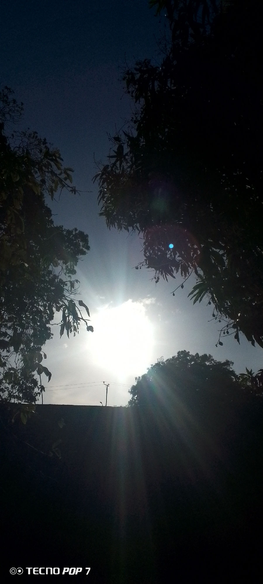 The image captures an outdoor scene at either sunrise or sunset, characterized by strong backlighting. The dominant feature is the bright, almost blinding sun, positioned centrally and partially obscured by light clouds. Intense rays of light emanate from the sun, creating lens flares, including a prominent blue one in the upper right quadrant.
The scene is framed by dark, silhouetted foliage from multiple trees. The leaves are indistinct due to the backlighting, but some branches, particularly on the right, appear to bear small, unripe fruits, suggesting species common to tropical environments like Altagracia, Venezuela.
Below the sun, a dark, solid horizontal structure, possibly a wall or building, forms a distinct line across the lower middle ground. To the left of the sun and above this structure, a faint silhouette of a utility pole with wires is visible, indicating human infrastructure within the natural setting. The sky transitions from a dark, deep blue at the top to a bright white around the sun. The overall impression is one of high contrast and natural beauty at a transitional time of day. In the bottom left corner, the text "TECNO POP 7" is visible.