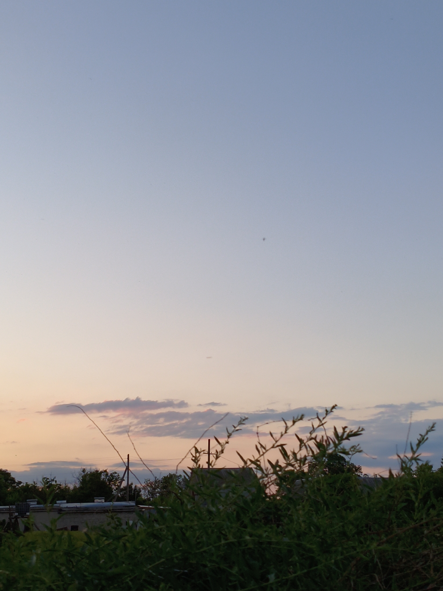 The image depicts a dusky sky over the city of Ustyvytsia, Ukraine. The sky transitions from a pale blue at the top to warmer hues of pink and orange near the horizon, indicating either dawn or dusk. Scattered clouds are visible, with some tinged pink by the setting or rising sun. In the foreground, lush green foliage dominates, partially obscuring a view of low-lying buildings and utility poles. The structures appear to be single-story, with some featuring visible rooftops and ventilation systems. The overall impression is a quiet, rural or suburban scene bathed in the soft light of twilight.