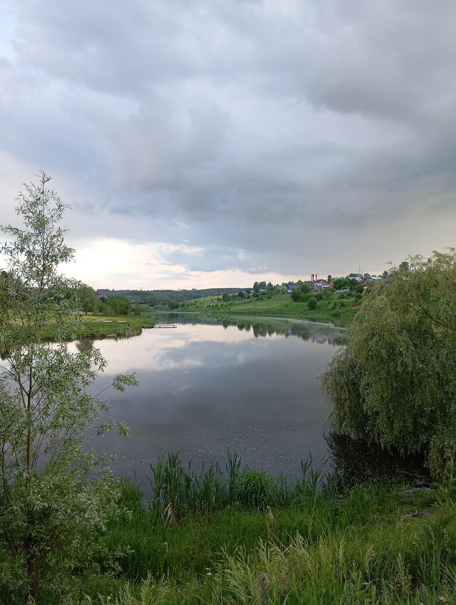 The image depicts a calm body of water, possibly a lake or wide river, reflecting the cloudy sky above. The shoreline is overgrown with green vegetation, including tall grasses, reeds, and two trees. On the opposite shore, a small village or settlement is visible, with houses and trees. The location is Фоки, Russia. There are no people visible in the image.