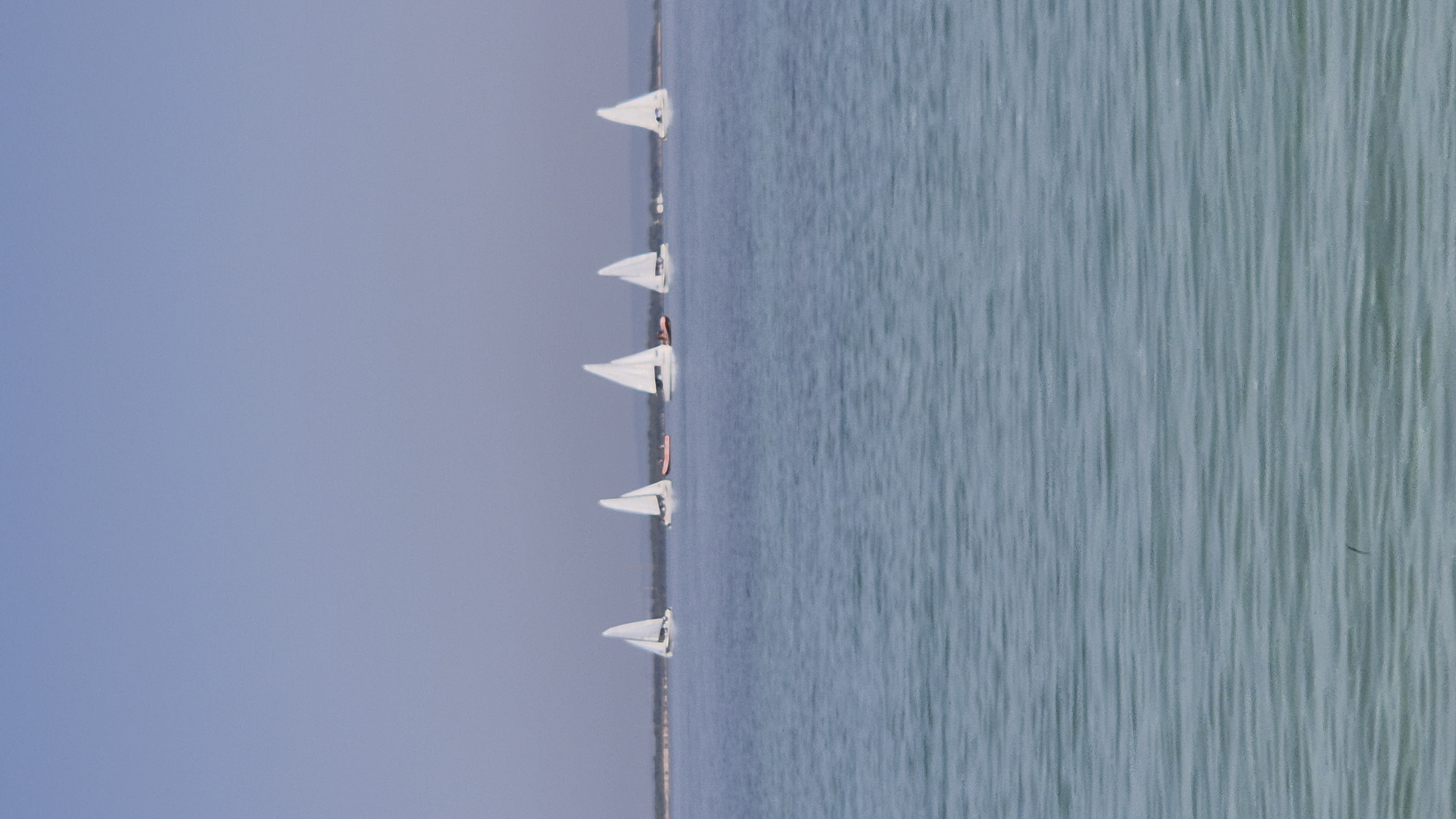 The image depicts a serene seascape with several sailboats on a calm body of water under a clear blue sky. The horizon line is visible in the distance, separating the water from a faint landmass. The water has a slightly rippled texture, indicating gentle movement. In the foreground, the water appears a slightly darker shade of blue-green, transitioning to a lighter, hazy blue towards the horizon.
Five sailboats with white sails are positioned across the water at varying distances. The sailboats are the primary subjects, with their sails filled, suggesting a light breeze. Two small orange dinghies are also visible between some of the sailboats, positioned closer to the land. The overall impression is one of tranquility and leisure, with the boats appearing to be sailing in unison or a similar activity. The scene is devoid of any urban infrastructure or specific landmarks that would definitively place it within the city of Taranto, Italy. The image is a natural landscape scene, not showing any identifiable urban features of Taranto.