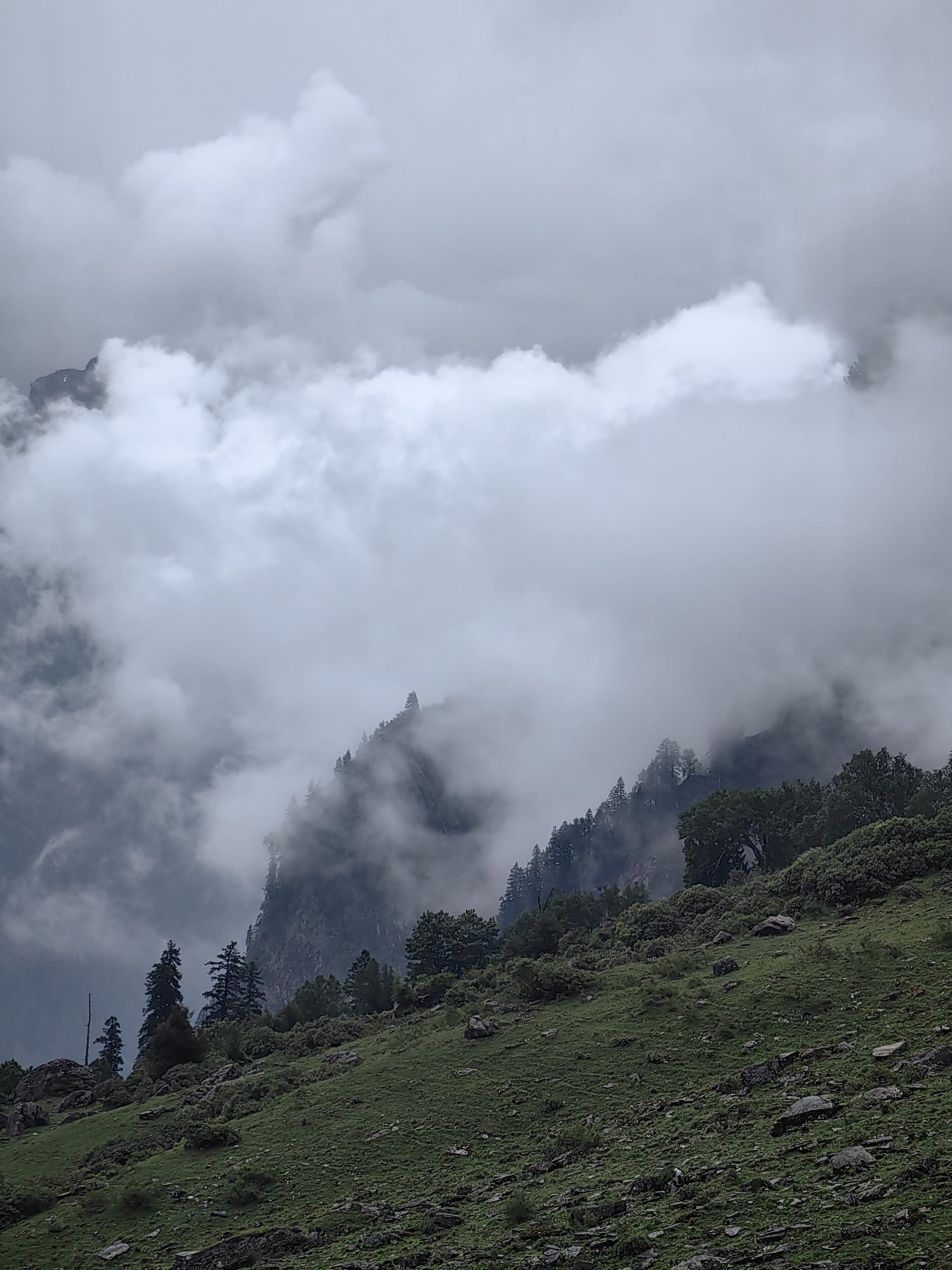This media file depicts a misty mountain landscape in Dhundi, India. The scene is dominated by thick, low-lying clouds that obscure much of the upper reaches of the mountains and create a dramatic, atmospheric effect. A steep, grassy slope covered in rocks and scattered shrubs occupies the foreground, leading the eye up towards a densely forested mountainside.
The trees, predominantly evergreens, are shrouded in mist, with only their upper portions visible in some areas. The overall impression is one of a cool, damp, and possibly overcast day, with the weather playing a significant role in shaping the visual narrative. The lighting is diffused, suggesting it could be early morning or late afternoon, or simply a heavily clouded sky. There are no people or specific objects clearly visible, allowing the natural grandeur of the landscape to be the sole focus. The rugged terrain and the pervasive mist evoke a sense of solitude and wildness. No text is visible in the media file.