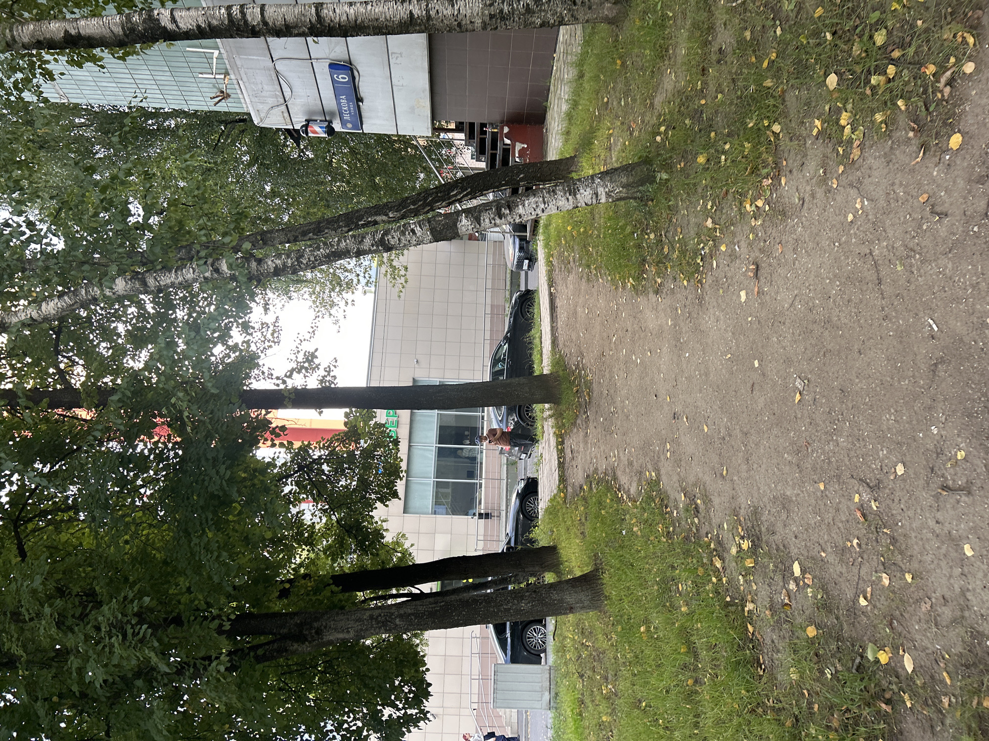 A dirt path leads towards a building with a sign that reads "ЛЕСКОВА 6" in Russian. The building has a modern facade with a light-colored tiled exterior and large windows. In front of the building, several cars are parked on the street. Trees with green leaves are scattered throughout the scene, some with birch-like bark. The ground is covered with grass and fallen leaves, suggesting an autumn setting. A person is standing near the cars, and another is visible further down the street. The overall scene depicts an urban environment with elements of nature.
