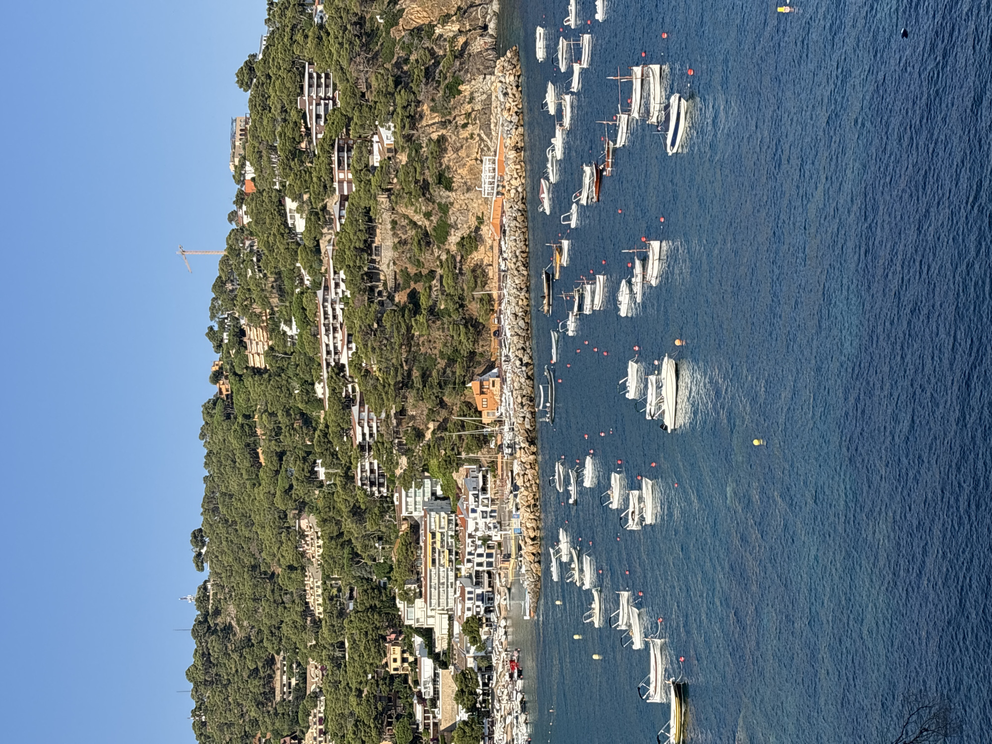 The image shows a view of the bay of Llafranc, Spain, looking towards the town nestled on a hillside covered in green pine trees. A clear blue sky dominates the upper portion of the image. The foreground is filled with numerous small boats anchored in the deep blue water. These boats are predominantly white, with a few displaying darker hulls or colored accents, and some have canopies. They are scattered across the bay, with some clustered closer to the shore.
The middle ground features a harbor area with a rocky breakwater protecting a collection of boats and a small quay. Along the waterfront, white buildings with numerous windows and balconies are visible, interspersed with some yellow-toned structures. These buildings appear to be a mix of residential and commercial properties.
The background is dominated by the steep, tree-covered hillside, dotted with more buildings that ascend towards the top of the frame. These buildings are mostly white or light-colored, with some featuring terracotta roofs. In the distance, on the top of the hill, a construction crane is visible, indicating ongoing development or renovation. The overall scene depicts a tranquil coastal town on a sunny day, with the bay bustling with small vessels.