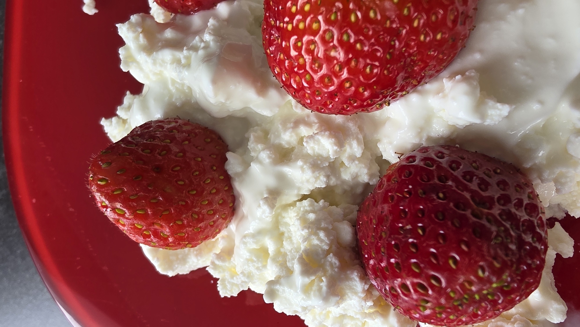 A close-up, overhead shot captures a red bowl filled with a creamy white substance, likely cottage cheese or yogurt, topped with several vibrant red strawberries. The strawberries are whole and appear fresh, with their characteristic textured skin and visible seeds. The creamy substance has a lumpy texture, suggesting it is not perfectly smooth. The red of the bowl creates a stark contrast with the white of the food and the red of the strawberries. The lighting is bright, highlighting the details of the food and the texture of the strawberries and the creamy base. The background is a dark, out-of-focus surface, possibly a countertop or table. No people are visible in the image. The scene appears to be indoors, possibly a kitchen or dining area. The image is devoid of any contextual information regarding its specific location in a city.