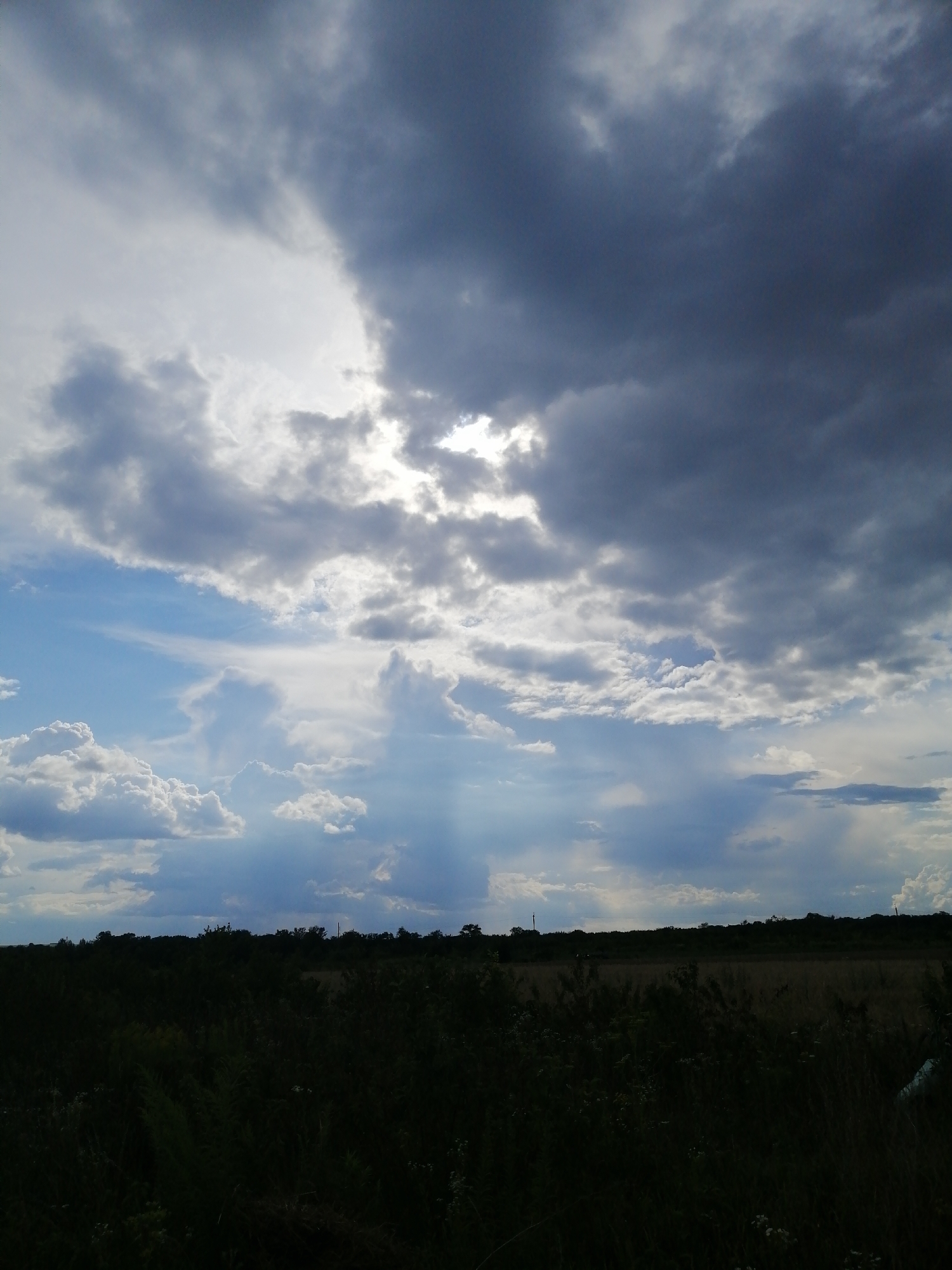 A dramatic sky dominates this landscape image, hinting at an approaching storm. Dark, heavy clouds fill the upper portion of the frame, with patches of bright sunlight breaking through in the center, casting rays of light downwards. Below the clouds, a lighter blue sky is visible, dotted with fluffy white clouds.
The lower half of the image depicts a dark, dense field of vegetation, possibly crops or wild grass, that stretches across the foreground and mid-ground. The foliage is so dark it appears almost black in the low light. In the distance, a faint treeline or horizon is visible, with sparse trees silhouetted against the sky. The overall scene suggests a rural setting in Ukraine, specifically Mali Kuskivtsi, during what appears to be late afternoon or early evening, given the dramatic lighting and cloud formations. The mood is somber and slightly ominous, reflecting the turbulent weather. There is no visible text in the image.