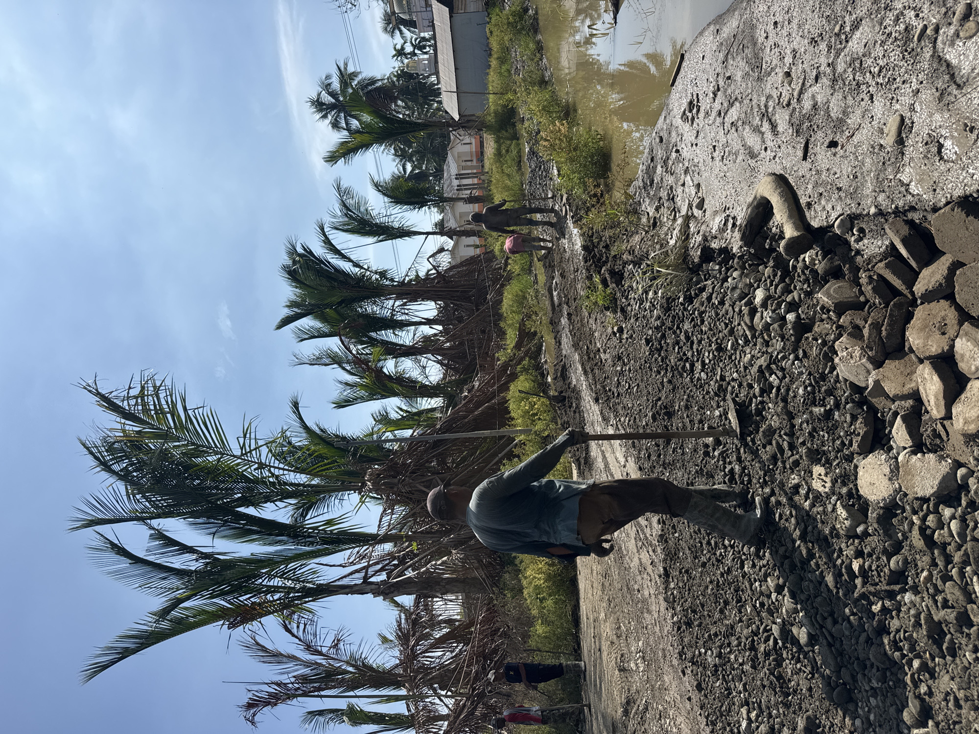 In Gampong Blang, Indonesia, under a clear blue sky, a group of people are engaged in manual labor near a muddy waterway. In the foreground, a person wearing a long-sleeved shirt, brown pants, and rubber boots is standing and holding a shovel. The ground is covered in a mixture of mud, gravel, and debris. Further in the background, two other individuals are working, one of whom appears to be digging. Surrounding the work area are numerous palm trees, some of which appear damaged, and in the distance, buildings are visible. The water body next to the work area is murky and reflects the sky and surrounding vegetation.