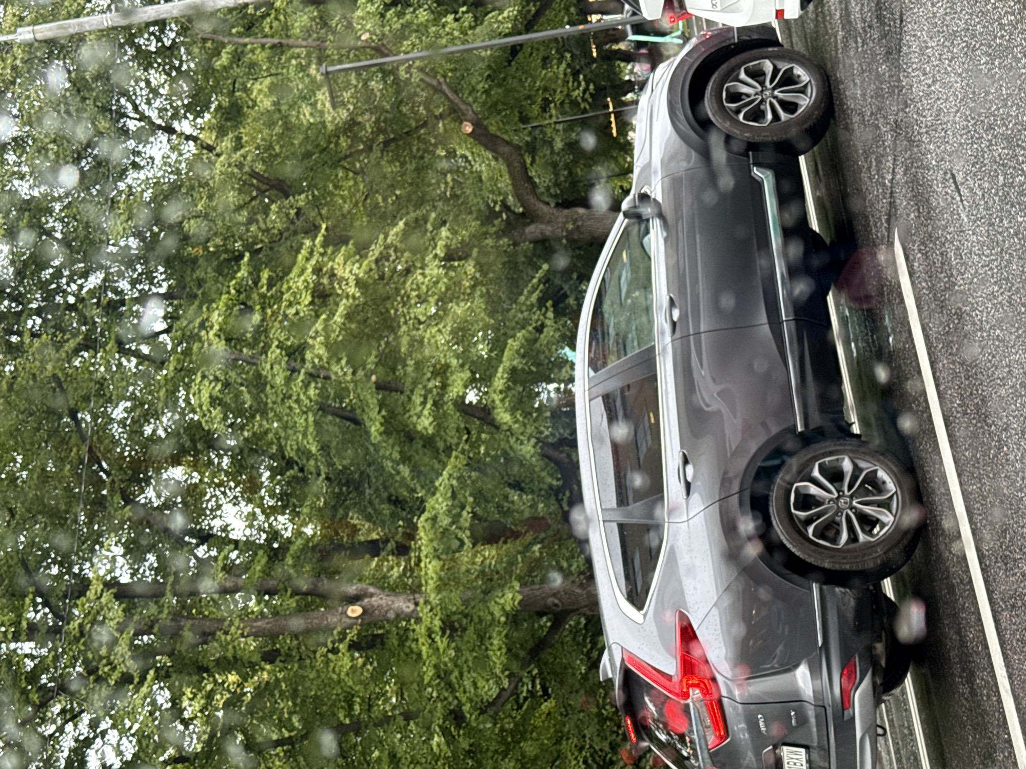 In Tallinn, Estonia, on a cloudy day, a grey Honda CR-V SUV is parked on a wet asphalt road, partially obscuring a white car in the background. The vehicle is in the foreground, facing right. The road has white lane markings. Behind the SUV, several large trees with dense green foliage line the street. Branches on some trees appear to have been recently cut. The scene suggests a rainy or recently rainy condition due to the water droplets visible on the camera lens and the wet road surface. There are no people visible in the image.