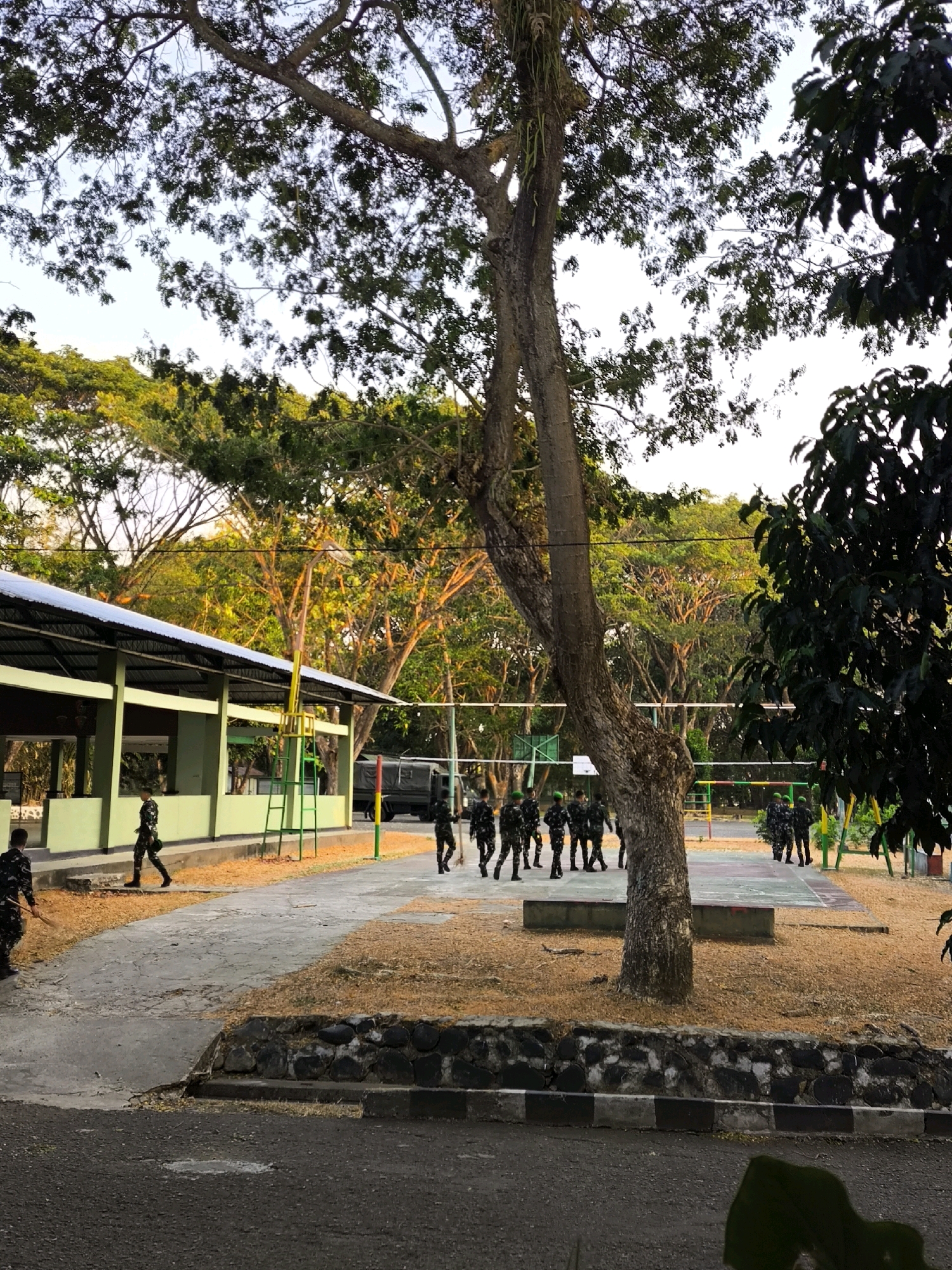 In the city of Unknown, Indonesia, this outdoor scene features a group of individuals in military uniforms on a paved area near a building and a sports court. A large tree trunk stands prominently in the foreground, partially obscuring the view of a volleyball net and court in the middle ground. Several soldiers, dressed in camouflage uniforms and green caps, are visible. One soldier in the left foreground is sweeping dry leaves with a broom. Other soldiers are gathered on the sports court, some standing and others in motion. A military truck is parked in the background. The environment is characterized by lush green trees and foliage, with sunlight filtering through the leaves, suggesting it is either early morning or late afternoon. The building in the background appears to be a low-rise structure with a covered walkway. The ground surfaces include paved paths, dirt, and a sports court.