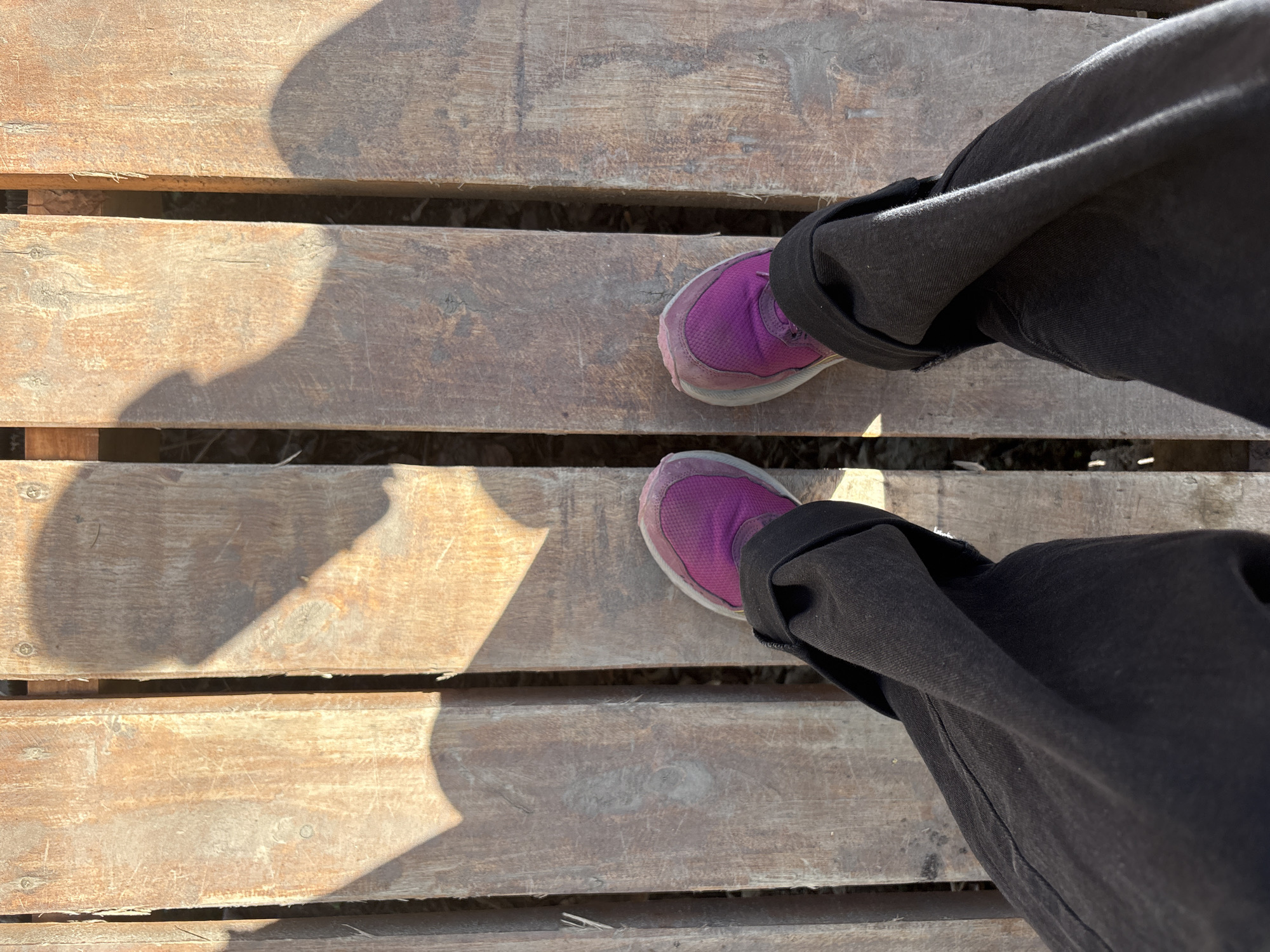 A first-person perspective photograph shows a person standing on a wooden pallet. The person is wearing dark-colored pants and purple athletic shoes. The pallet is made of light-colored wooden planks with gaps between them. Sunlight casts shadows across the planks. The location is not discernible from the image.
