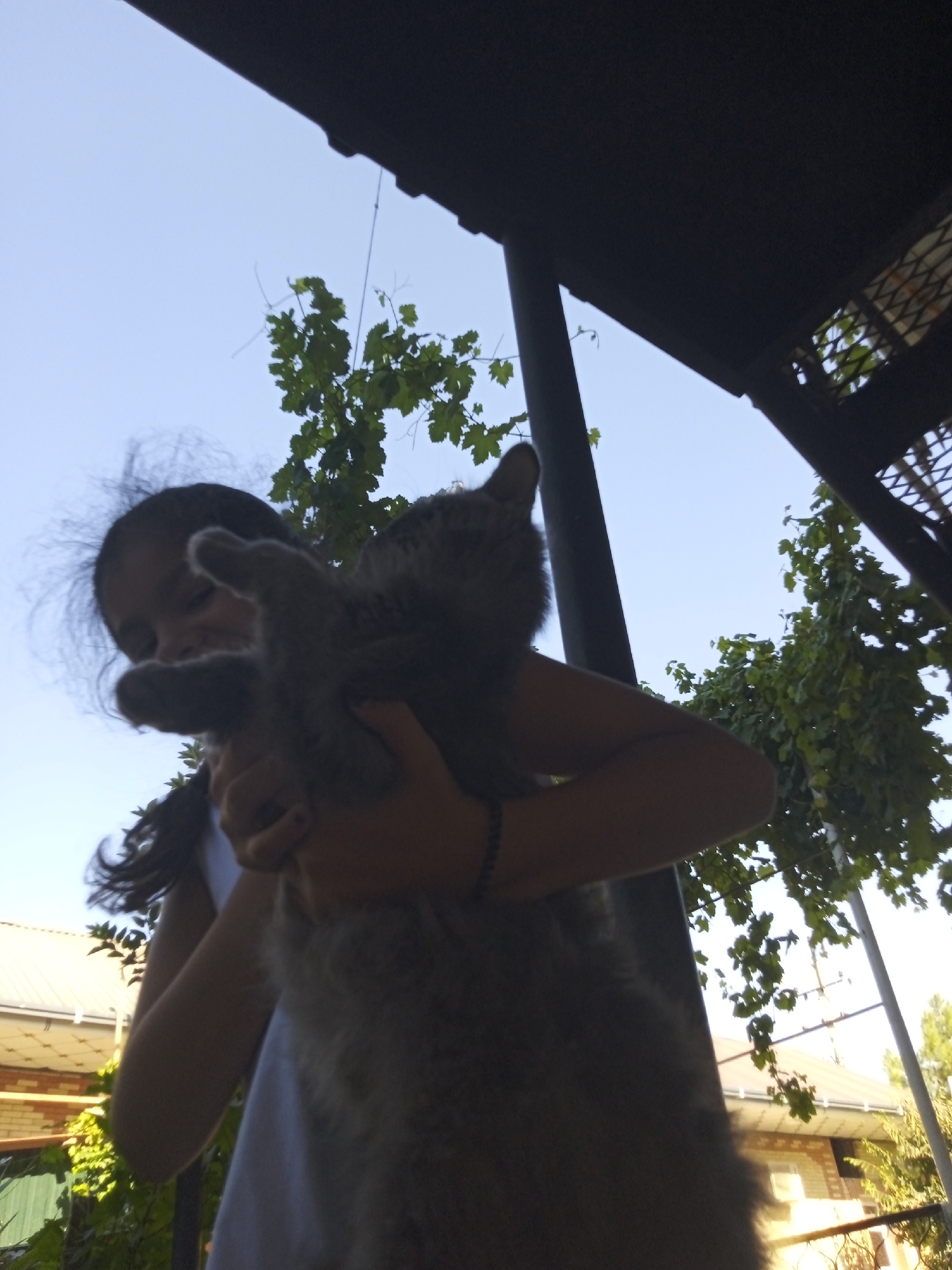 A young person is holding a gray cat in an outdoor setting, possibly a backyard or patio area, with buildings and trees visible in the background. The sky is clear and blue. The person is looking at the cat, and the cat is looking towards the camera. The image is taken from a low angle, looking up at the person and the cat.