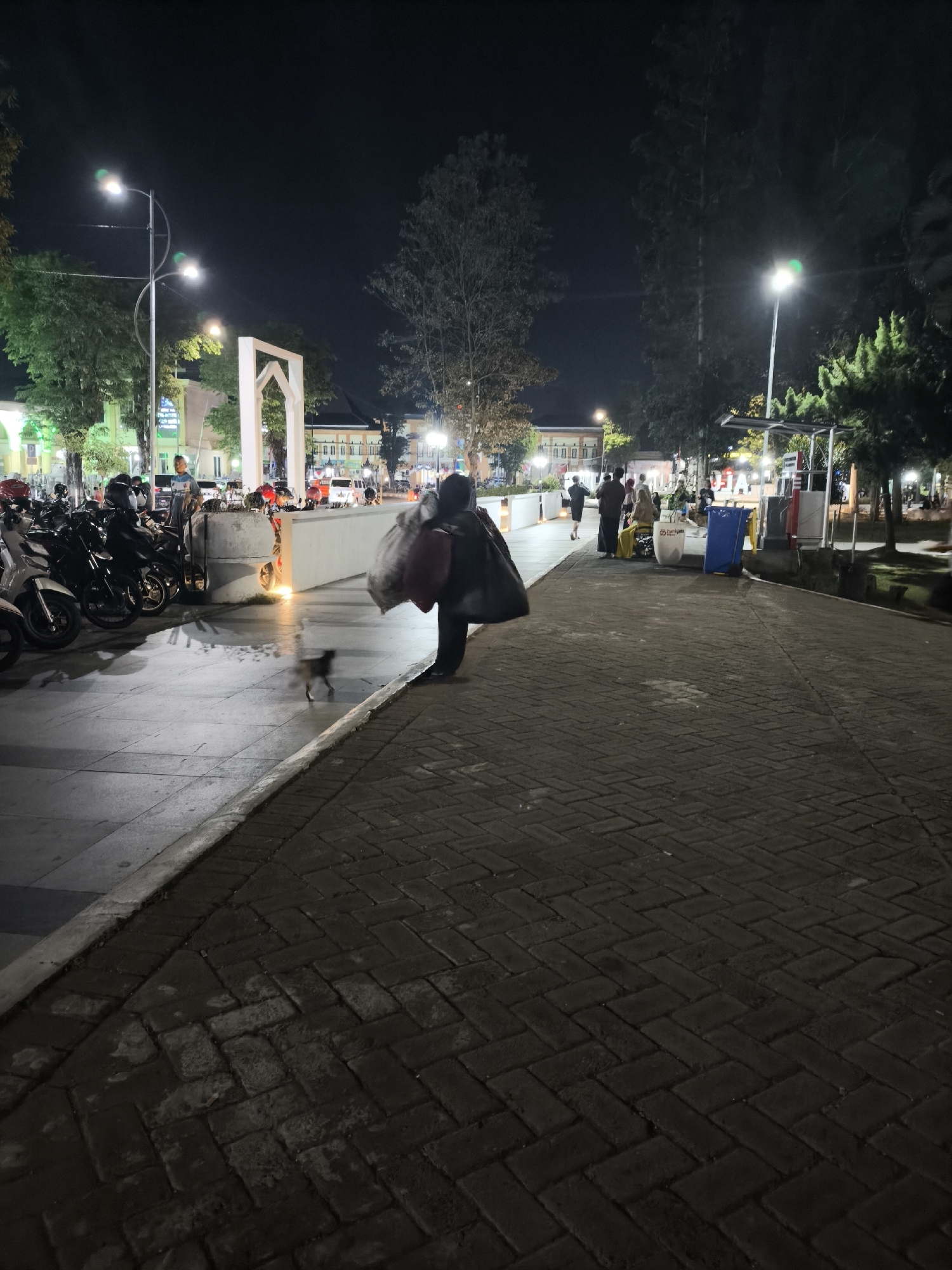 A nighttime scene captures a paved walkway in front of a row of buildings in Lumajang, Indonesia. A person is walking across the walkway carrying a large black bag slung over their shoulder. A small, blurry animal, likely a cat, is in motion on the paved area between the person and a concrete planter. Several motorcycles are parked in the background to the left. Streetlights illuminate the area, casting shadows on the ground. The buildings in the background appear to be shops or businesses.