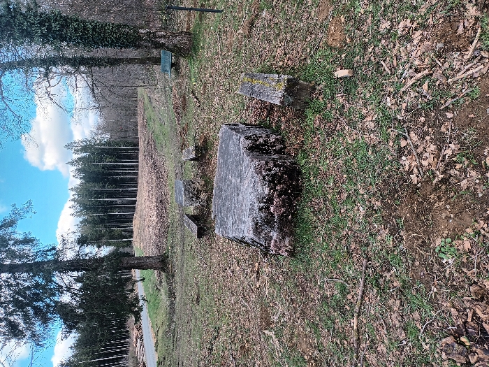 The image displays an outdoor scene located in Étalle, Belgium, depicting a forest clearing under a partly cloudy sky. The ground consists of uneven terrain covered with sparse green grass, patches of bare soil, brown fallen deciduous leaves, and scattered small branches and twigs.
Centrally positioned in the foreground is a large, rough-hewn, rectangular concrete block, grey and mottled with green moss, functioning as a table. Three smaller, similarly weathered concrete blocks are arranged around it, serving as seating; one is to the left, one to the right, and another partially obscured behind the central block.
In the mid-ground, two large trees are prominent. To the left is a tall coniferous tree with dark foliage. To the right, a deciduous tree with a bare trunk is heavily covered in ivy. A green park bench is visible beneath this ivy-covered tree. On the far right edge of the frame, a thin, dark, vertical stake is present.
The background features a dense line of tall, slender coniferous trees with light-colored trunks extending across the horizon. To the left of this forest line, a dirt road or track is partially visible. A gentle rise of earth, covered in dry vegetation, separates the immediate clearing from the background forest. No individuals are present in the scene.