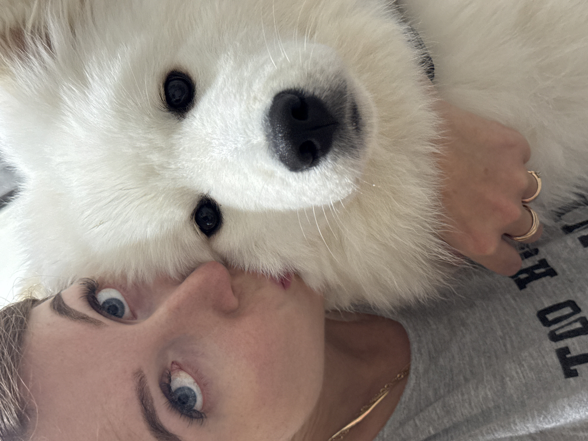 A woman with fair skin and blue eyes is positioned on her back, angled towards the camera. Her facial expression is one of surprise or wide-eyed. Resting atop her head is a fluffy, white Samoyed dog. The dog's face, including its black nose and eyes, dominates the upper portion of the image. The woman wears a gold necklace and multiple rings on her hand. She is wearing a grey t-shirt. No information about the city of Chaikovsky, Russia, is discernible from the image.