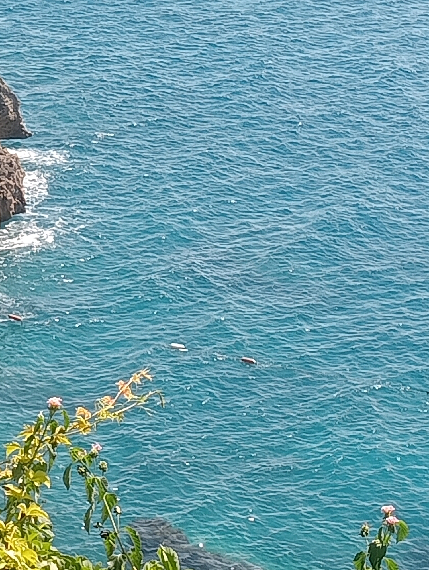 A high-angle, medium shot captures a body of blue water with small, white-capped waves, indicative of the Mediterranean Sea near Antalya, Turkey. In the foreground, lush green foliage and pink flowers extend from the lower left corner towards the center. In the middle ground, three small, dark objects, possibly fishing buoys or debris, are scattered across the water's surface. To the upper left, a rocky outcropping, part of the coastal landscape, juts into the sea with white foam washing against its base. The sky is not visible in the frame.
