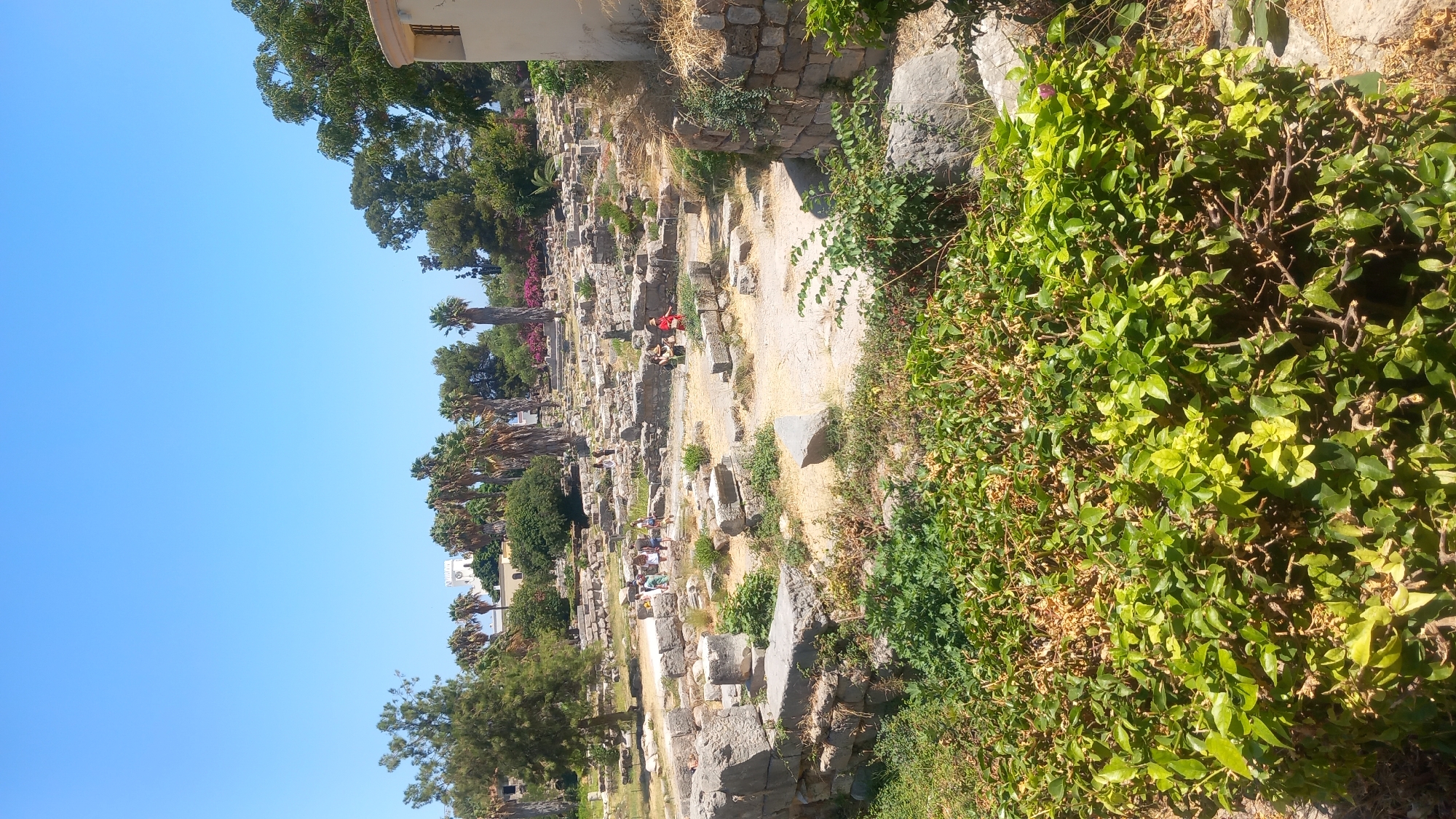 The image shows a sunny day at the Archaeological Museum of Kos, located in the city of Kos, Greece. The foreground features lush green bushes and foliage, partially obscuring ancient stone ruins. In the mid-ground, weathered stone structures, remnants of a past civilization, are spread across a dusty, sun-baked area. Scattered among the ruins, several people are visible, appearing to be tourists exploring the site. They are casually dressed, walking and observing the ancient architecture. In the background, palm trees and other greenery rise, with a white building visible in the distance against a clear blue sky. The overall scene depicts a historical site preserved amidst a natural, Mediterranean landscape.
