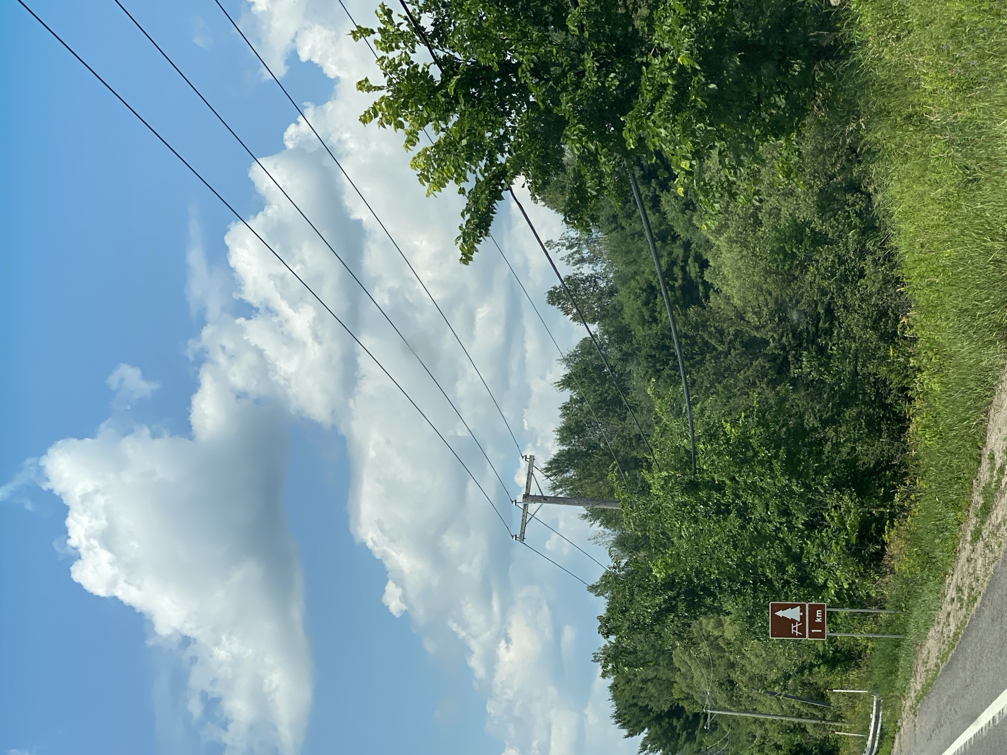 This image captures a roadside scene with a clear blue sky dotted with fluffy white clouds. Power lines stretch diagonally across the frame, supported by a wooden utility pole. Dense green foliage, primarily trees and tall grass, forms a thick border along the roadside. In the foreground, a brown sign with a white pictogram of a picnic table and a tree, along with the text "1 km," is visible on the right side of the road. The road itself, paved with a white line marking, is partially visible on the left. This scene is consistent with a rural setting in the municipality of Saint-André-Avellin, Canada, likely along a secondary road. There are no people or animals depicted.