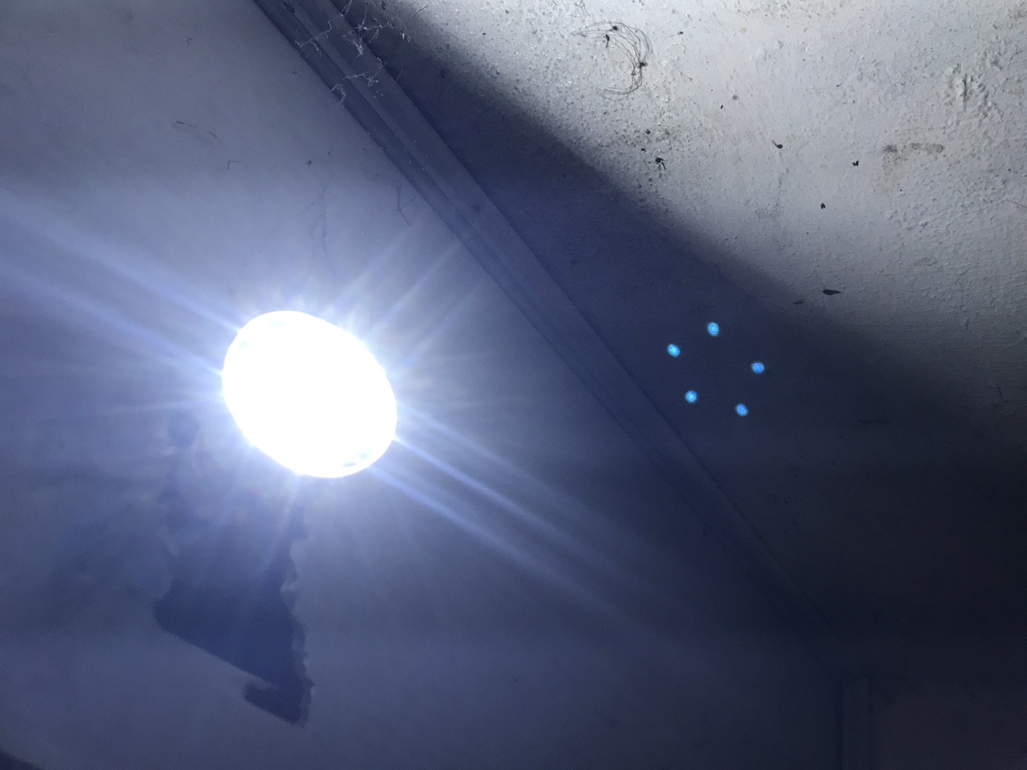 This image captures an interior corner of a structure, located in the city of Unknown, Unknown. A circular, bright white light fixture, presumably an LED bulb, is mounted on the ceiling in the upper center, emitting distinct rays of light. To the upper left of the light fixture, an irregular dark cavity or opening is visible in the ceiling. The ceiling and adjacent wall surfaces are light-colored, textured, and show signs of wear and minor irregularities. In the upper right corner, along the junction of the ceiling and wall, fine spiderwebs are present. Further down the right wall, a small, entangled cluster of light-colored fibrous material, possibly a spider's nest or accumulated debris, is affixed to the surface. In the lower left portion of the image, within a shadowed area, five distinct, small, bright blue circular illuminations are visible in a loose arrangement on what appears to be a wall surface. The lower areas of the walls are significantly darker due to shadows cast by the overhead light source.