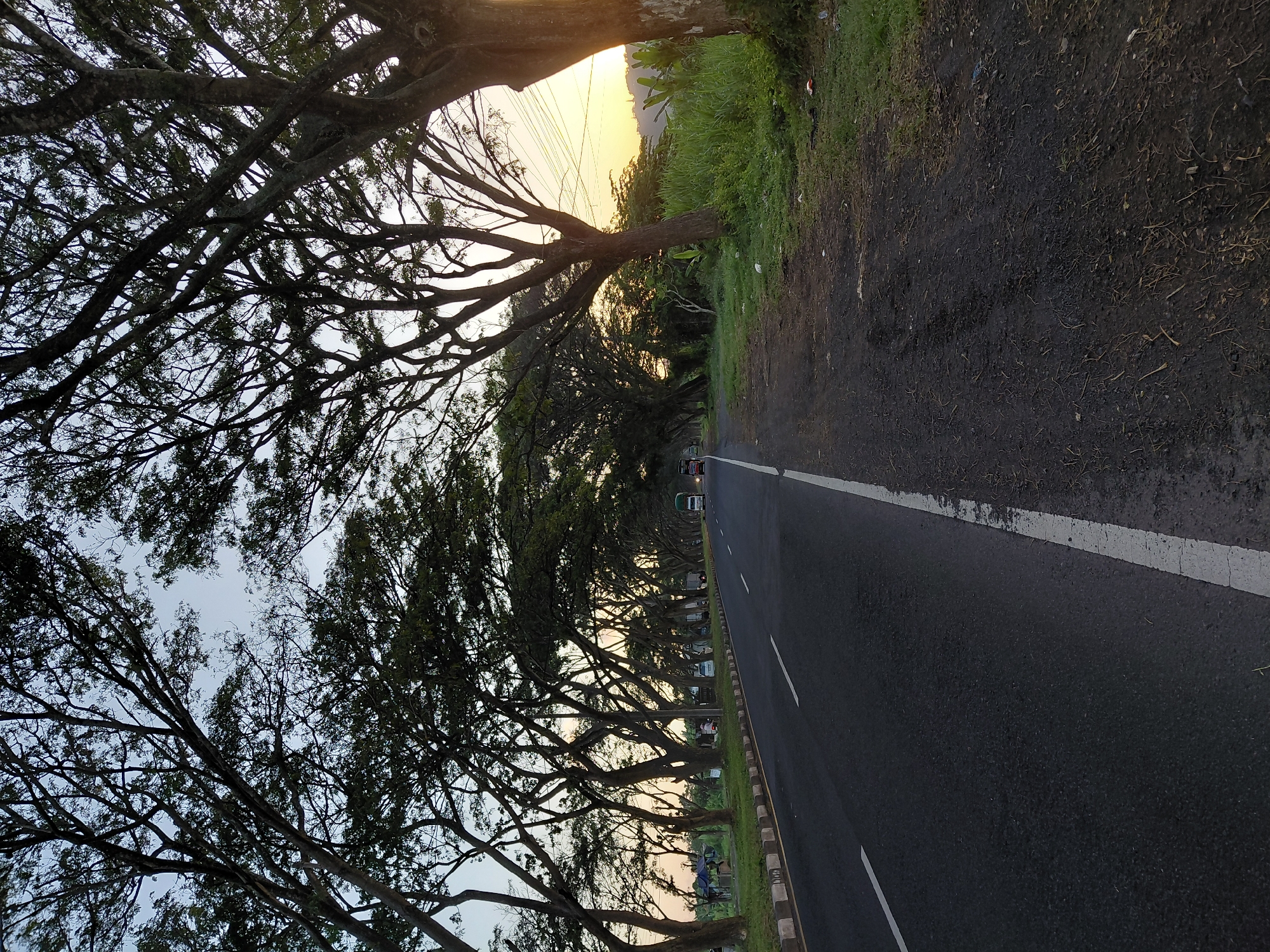 The image depicts a tree-lined road in Dawan, Indonesia, at dusk. The road is asphalt with white lane markings. On the left side of the road, there are mature trees with dense canopies forming an arch over the road, their branches silhouetted against the sky. Beyond the trees on the left, there are some small structures and what appears to be a grassy shoulder. On the right side of the road, there is also a line of trees, with a wider grassy area and some vegetation. In the distance, the sky is illuminated by the setting sun, casting a warm glow. A few vehicles, including trucks and cars, are visible on the road. There are no people prominently featured in the image. The overall scene suggests a rural or semi-rural road leading through a landscape abundant with trees.