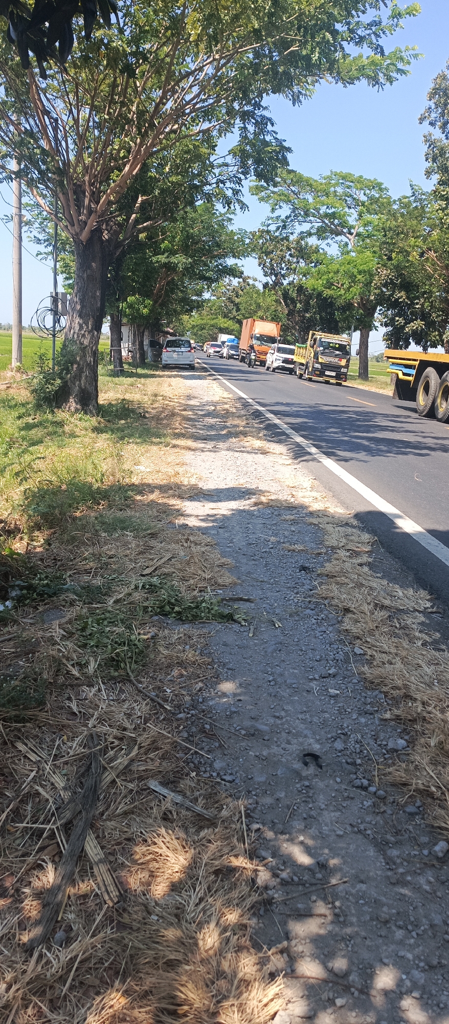 In Landangan, Indonesia, a road with a white stripe marking the lanes is visible, bordered by a gravel shoulder and dry grass. A line of vehicles, including cars and trucks, travels along the road. On the left side of the road, a rice field is partially visible, with trees lining the road and the field. A large tree stands near the side of the road, its branches extending over the area. The sky is clear and blue, indicating a sunny day.