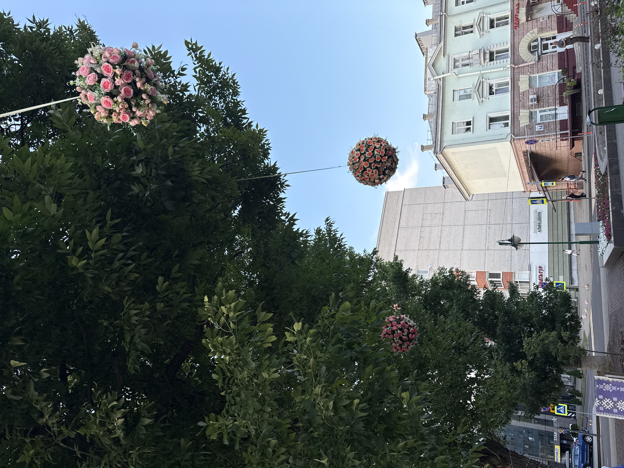 The image captures a street scene in Mahilyow, Belarus, under a clear blue sky. Two spherical floral arrangements are suspended from tree branches, one closer to the foreground with pink and white roses, and another further away with orange and pink flowers. A large tree with dense green foliage dominates the left side of the frame. Behind the tree, a tall, light-colored, multi-story building with red brick accents is visible. To the right, a light green, older European-style building with multiple windows and decorative elements stands adjacent to a darker brick building. The street level features crosswalks, street signs, a lamppost, and a few people walking. A blue car is parked on the left side of the street. In the foreground, a decorative rug with a geometric pattern is placed on the ground near a sidewalk.