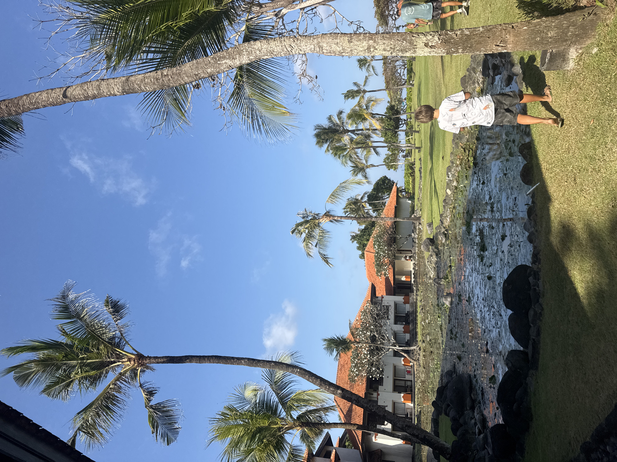 In Kuta Selatan, Indonesia, a sunny day unfolds with a picturesque scene of a resort and its grounds. The foreground features a boy in a white t-shirt with a bird pattern and gray camouflage shorts, standing barefoot on a grassy lawn, facing away from the camera and towards a tranquil pond filled with water lilies. The pond is surrounded by dark rocks and lush green grass, reflecting the clear blue sky and scattered white clouds above.
Behind the pond, a resort complex with white walls and distinctive orange-tiled roofs is visible. Palm trees, some tall and slender, others shorter and fuller, dot the landscape, their fronds swaying gently in the breeze. To the right of the pond, another boy, seen from behind, wearing a dark green t-shirt and black shorts, walks on the grass alongside a man in a blue t-shirt and black shorts. Further in the background, more palm trees and greenery create a tropical ambiance, with a hint of the ocean or a body of water visible in the distance. The overall atmosphere is one of relaxation and tropical vacation, with the bright sunlight casting shadows on the manicured lawn.