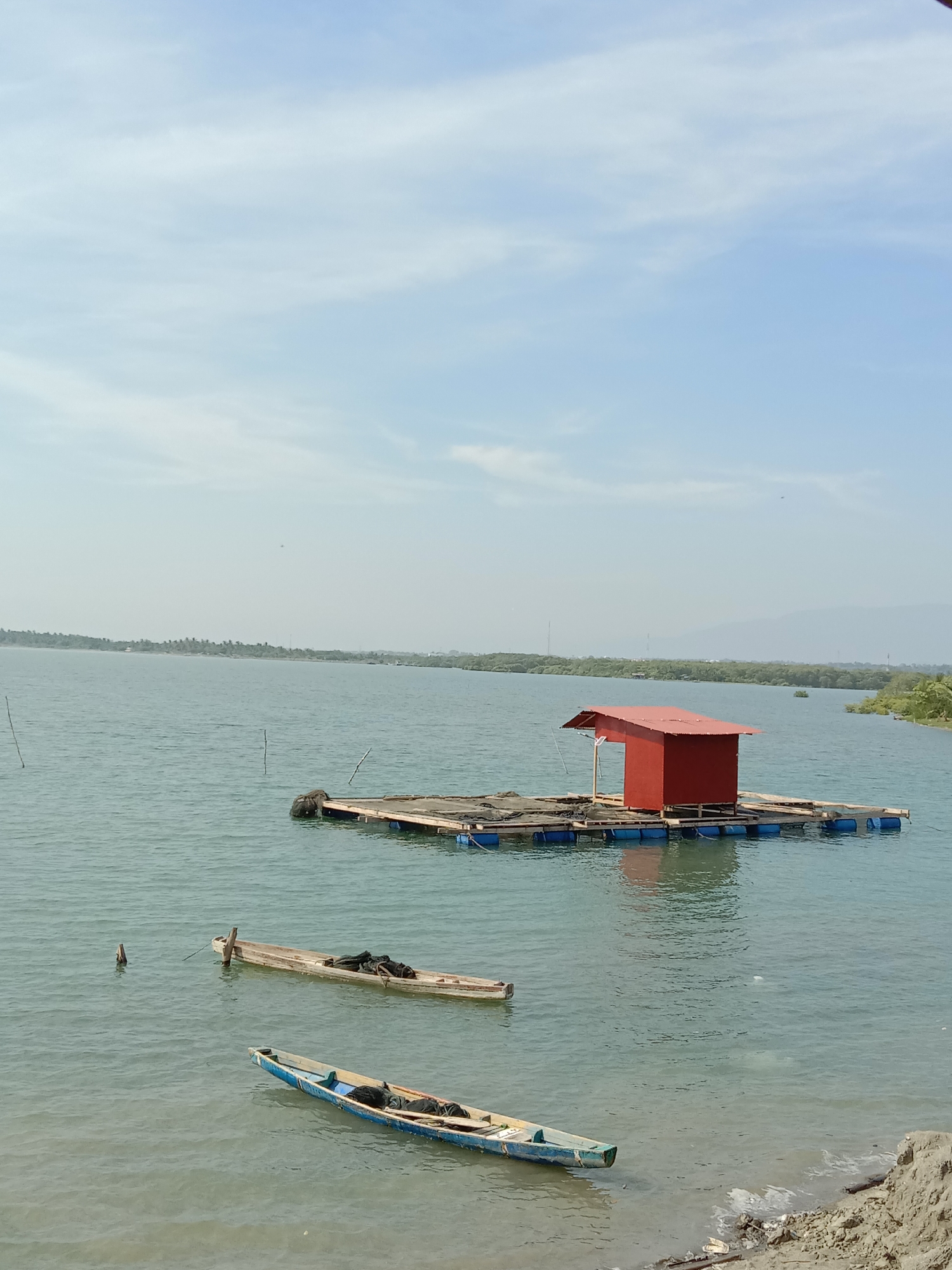 The image captures a tranquil daytime scene of a body of water, likely a lake, lagoon, or bay, consistent with the Lhokseumawe, Indonesia, location context. The sky above is a pale blue with scattered wispy white clouds, indicating clear weather.
In the mid-ground, a prominent red, shed-like structure sits on a rectangular floating platform. The platform appears to be constructed from wooden planks supported by blue barrels, suggesting its use in aquaculture, possibly a fish farm, or as a small shelter for fishing. Dark netting or equipment is visible around the platform.
Two traditional wooden boats are partially submerged or moored in the foreground water. The boat closer to the floating platform is a natural light wood color, while the one further to the right is painted blue with some yellow details. Both boats contain dark materials, likely fishing nets or gear. Several thin wooden poles are scattered in the water, possibly for mooring or marking.
The distant shoreline is lined with lush green vegetation, appearing as dense trees or mangroves, with a range of light blue mountains visible further in the background under the hazy sky. The immediate foreground on the bottom right shows a muddy or sandy bank with some scattered debris and small waves gently lapping at the shore.
There are no people visible, and no direct activity is taking place, but the presence of the boats and the floating structure strongly suggests fishing or aquaculture as the primary human engagement with this environment. The scene evokes a sense of peace and stillness under the bright daylight. No visible text is present in the image.
