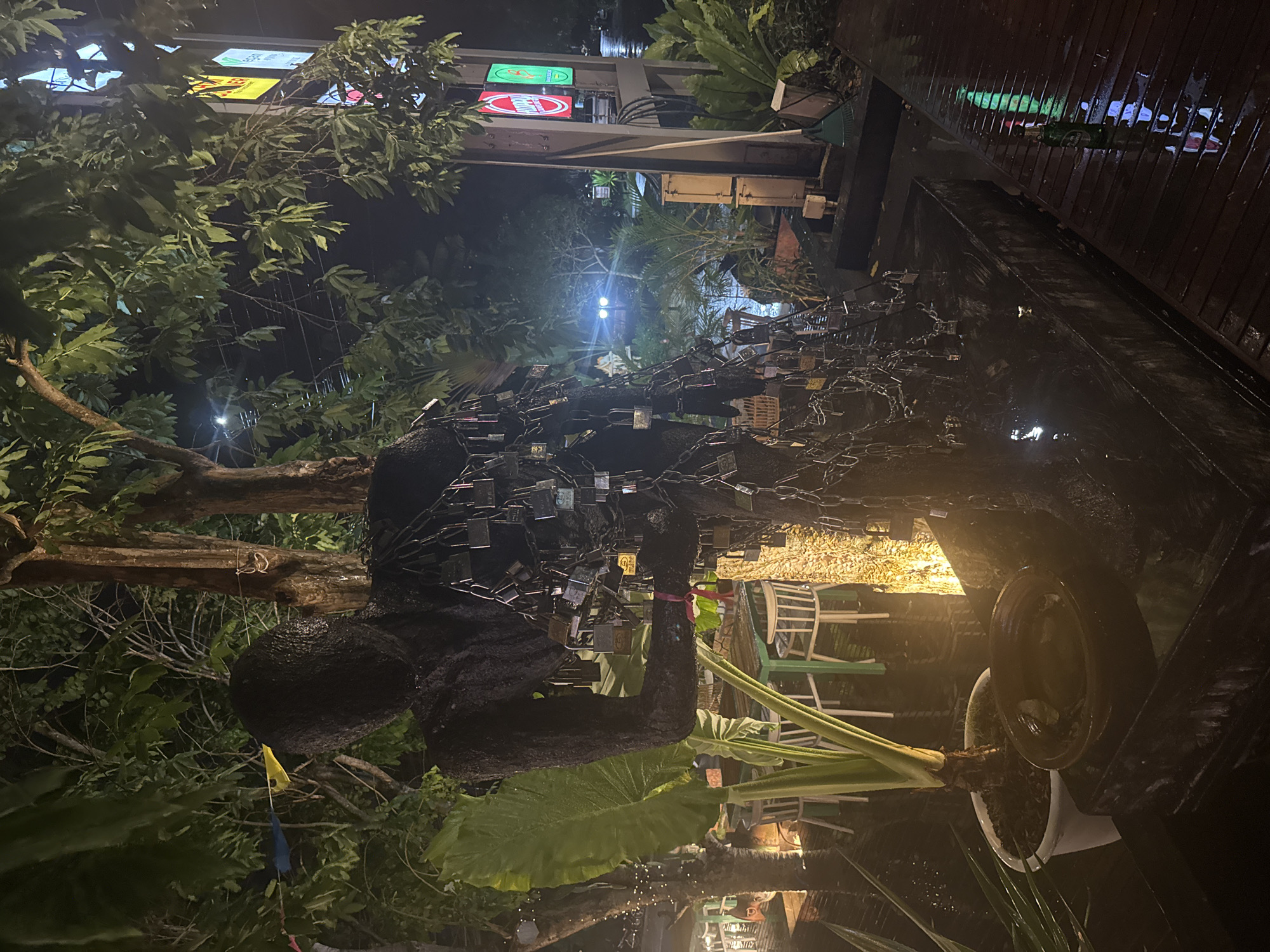 The image depicts an outdoor scene at night, possibly in a restaurant or bar area, given the presence of tables and chairs visible in the background. A dark, abstract sculpture of a human-like figure is the central focus. This sculpture is heavily adorned with numerous padlocks, which hang from chains attached to it. The ground appears wet, suggesting recent rain or cleaning, with reflections visible on the surface. There is lush greenery surrounding the area, including large leaves and trees. In the background, illuminated signs are visible on a building or structure, one of which has a red circular logo. A bottle of what appears to be beer is also visible on the wooden deck to the right of the frame. The overall atmosphere is dimly lit, with artificial lights providing illumination. There are no people clearly visible in the image.