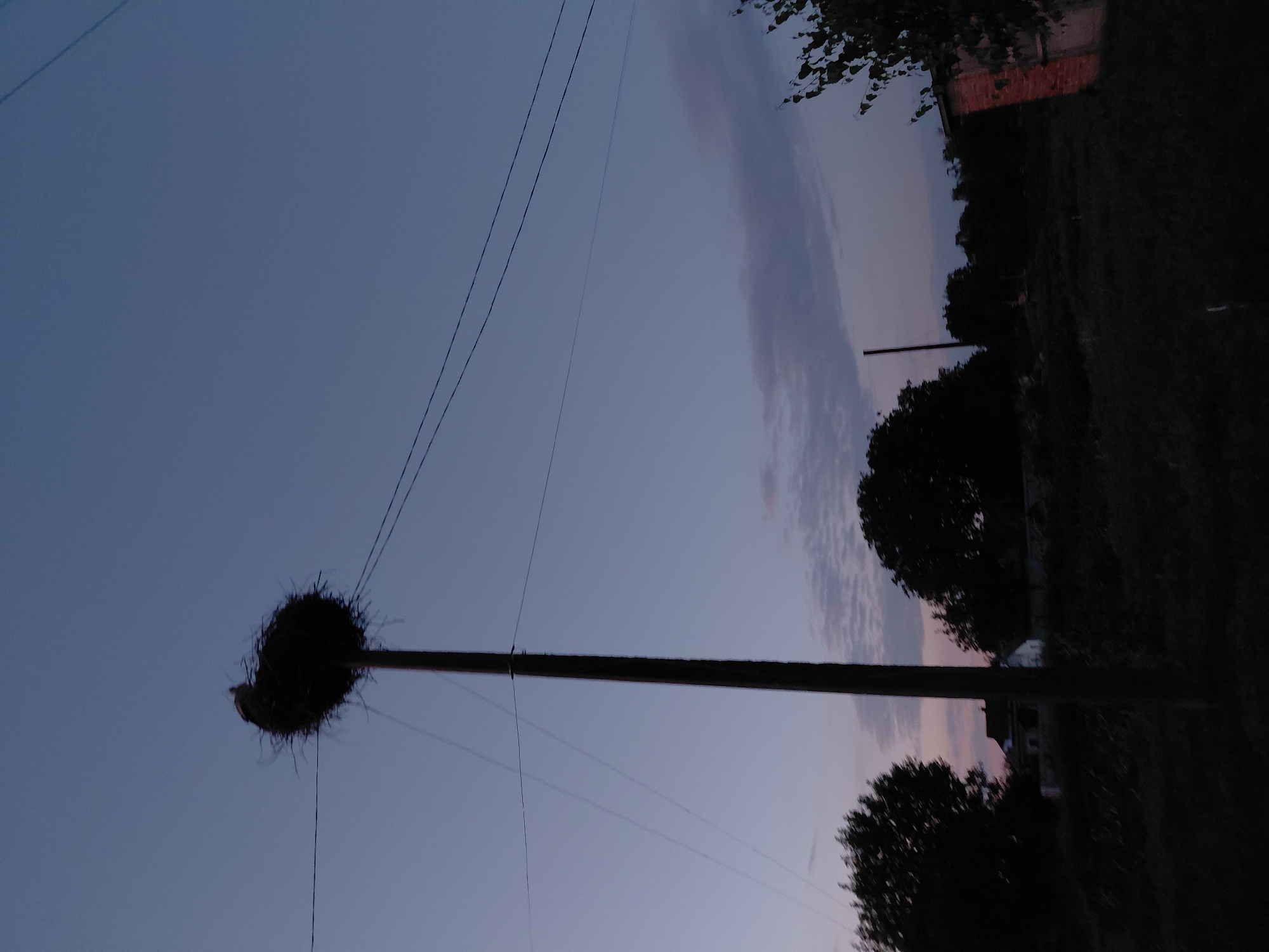 In the city of Ustyvytsia, Ukraine, at dusk, a large stork's nest sits atop a utility pole. The nest is made of sticks and appears to be inhabited, with a faint outline of a bird visible within. The pole is slender and dark, with electrical wires extending from it. The sky above is a gradient of deep blue to lighter purple, indicating the twilight hours. In the background, silhouetted trees and a small building are visible. The overall atmosphere is serene and rural, suggesting a peaceful evening scene.