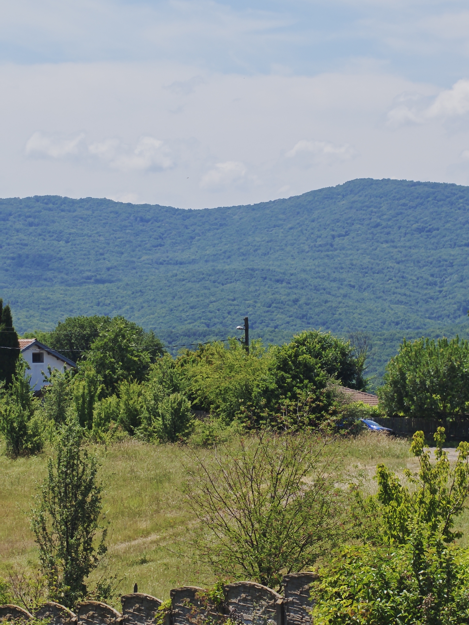 The image depicts a rural landscape with a densely forested mountain range in the background, under a partly cloudy sky. In the midground, there are scattered buildings and lush green trees. A white house with a brown roof is visible to the left, surrounded by trees. A blue car is parked near a fence in the right midground. The foreground features a field of dry grass and bushes, with a stone wall running along the bottom edge of the frame. The scene appears to be a serene, natural environment, potentially on the outskirts of the village of Izgrev, Bulgaria, given the context.